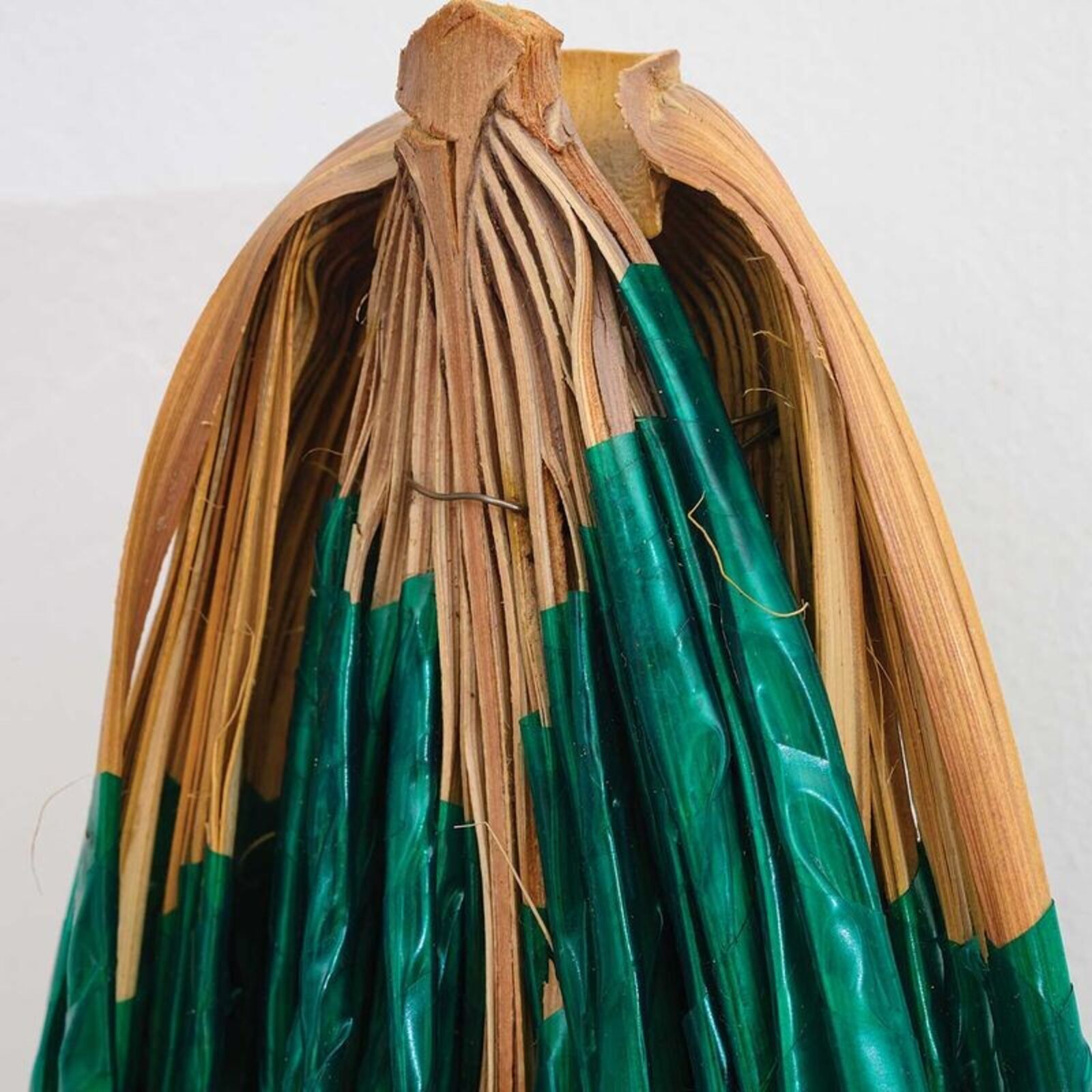 Bound Palm