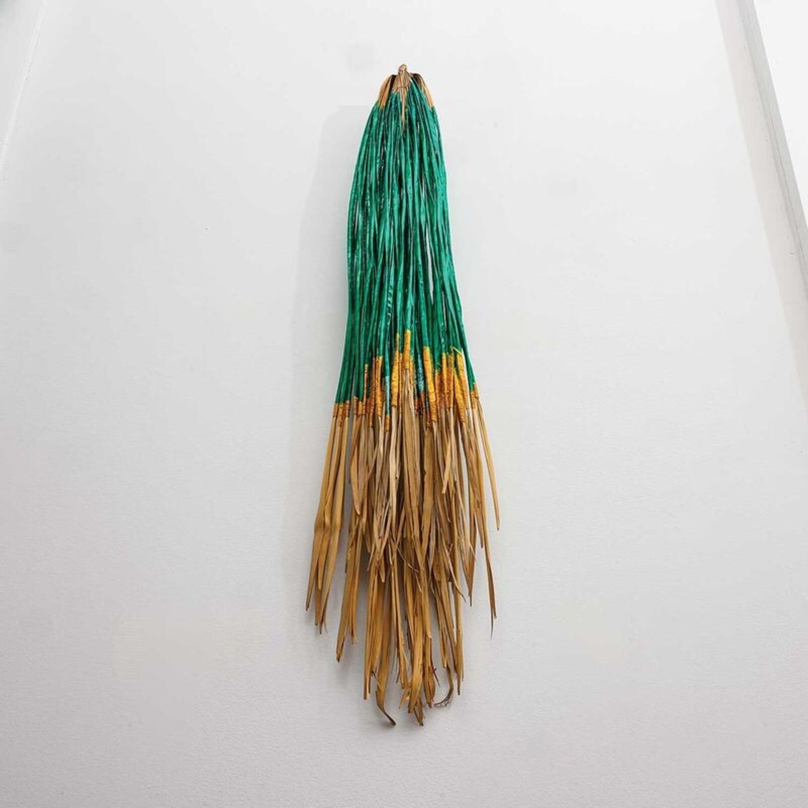 Bound Palm