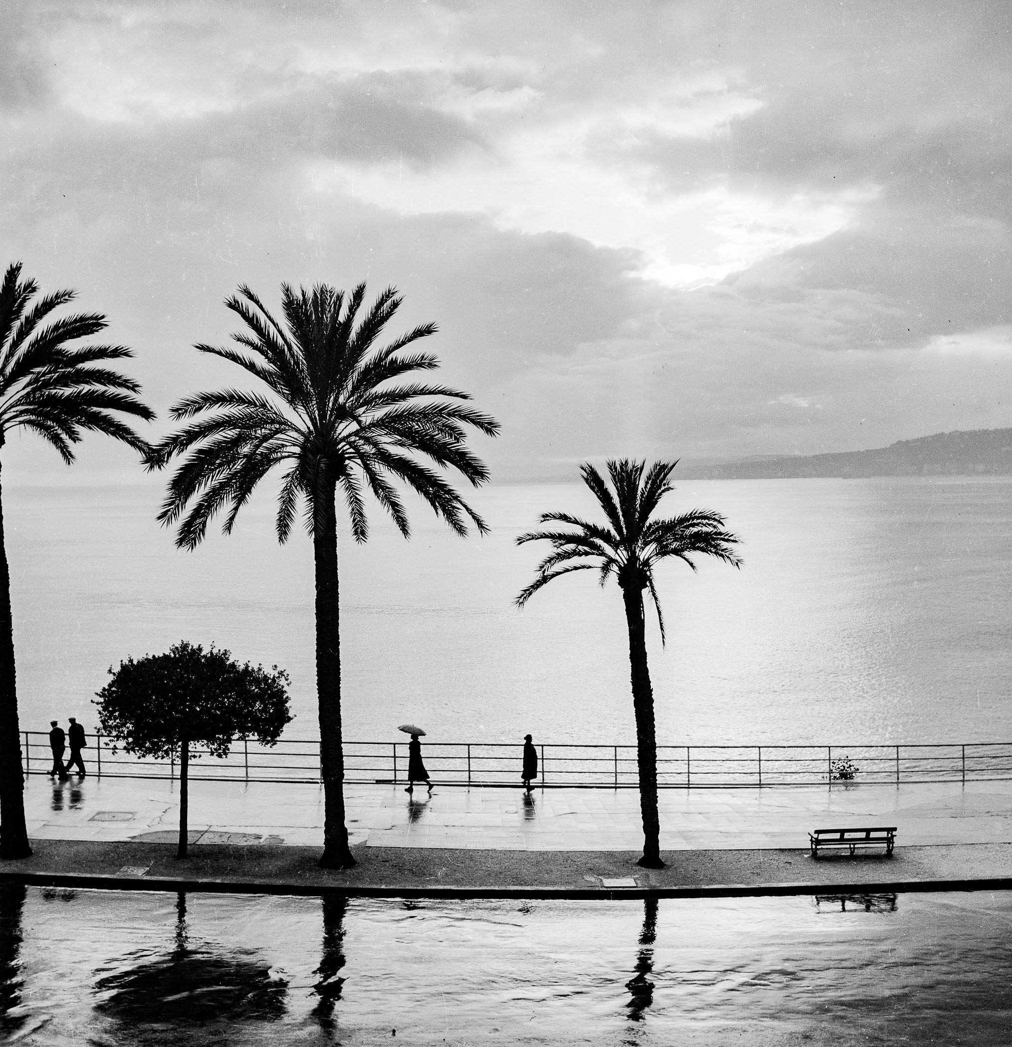 A black and white photo of people walking by the water with palm trees.