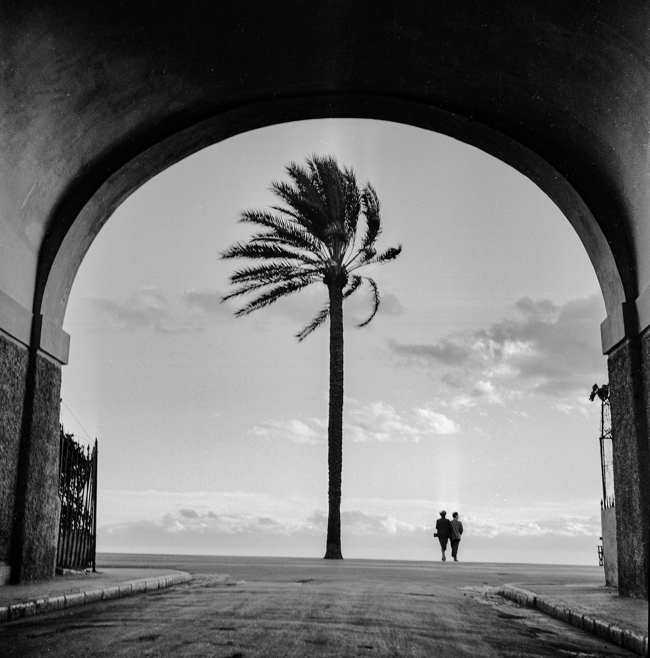 A couple of people walking under an archway with a palm tree.