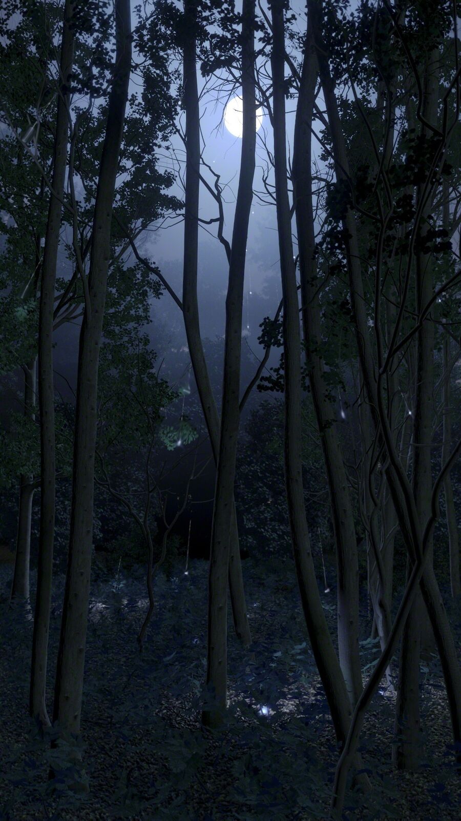 A full moon shines through the trees in a dark forest.