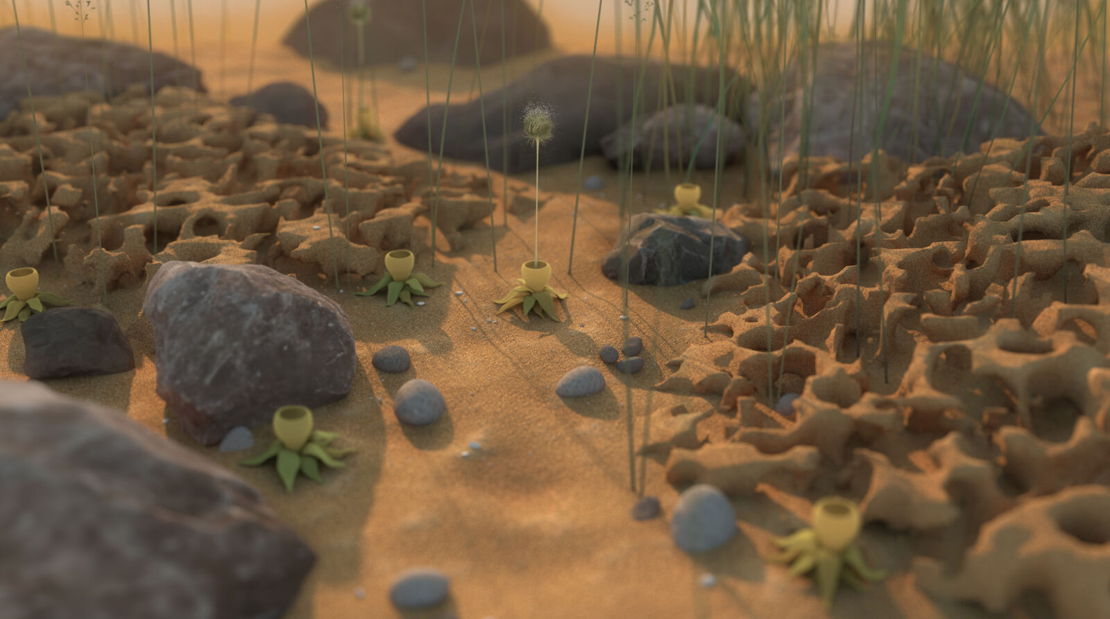 A desert landscape with rocks and plants in the sand.