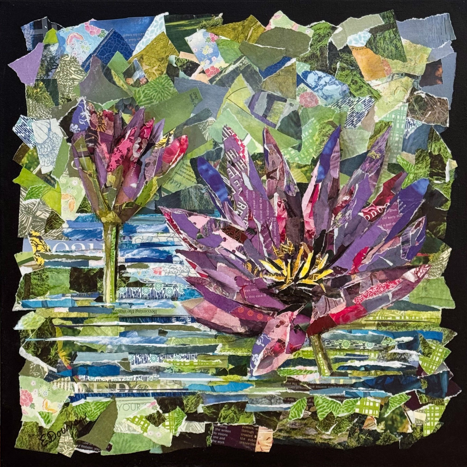 Royal Purple Water Lilies - Mililani, HI by Eileen Downes, 2025