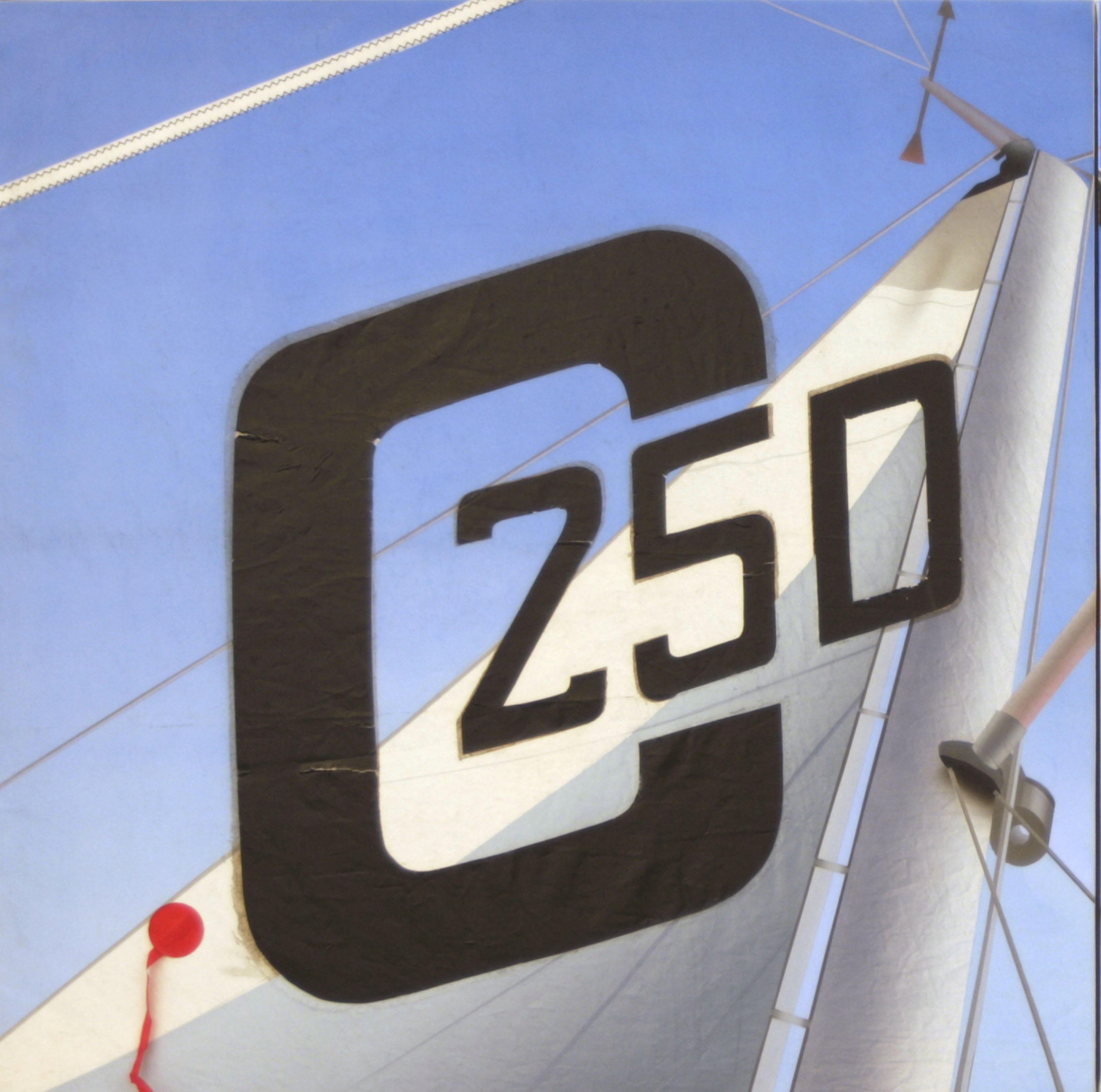 A close up of a sailboat with the number 250 on it.