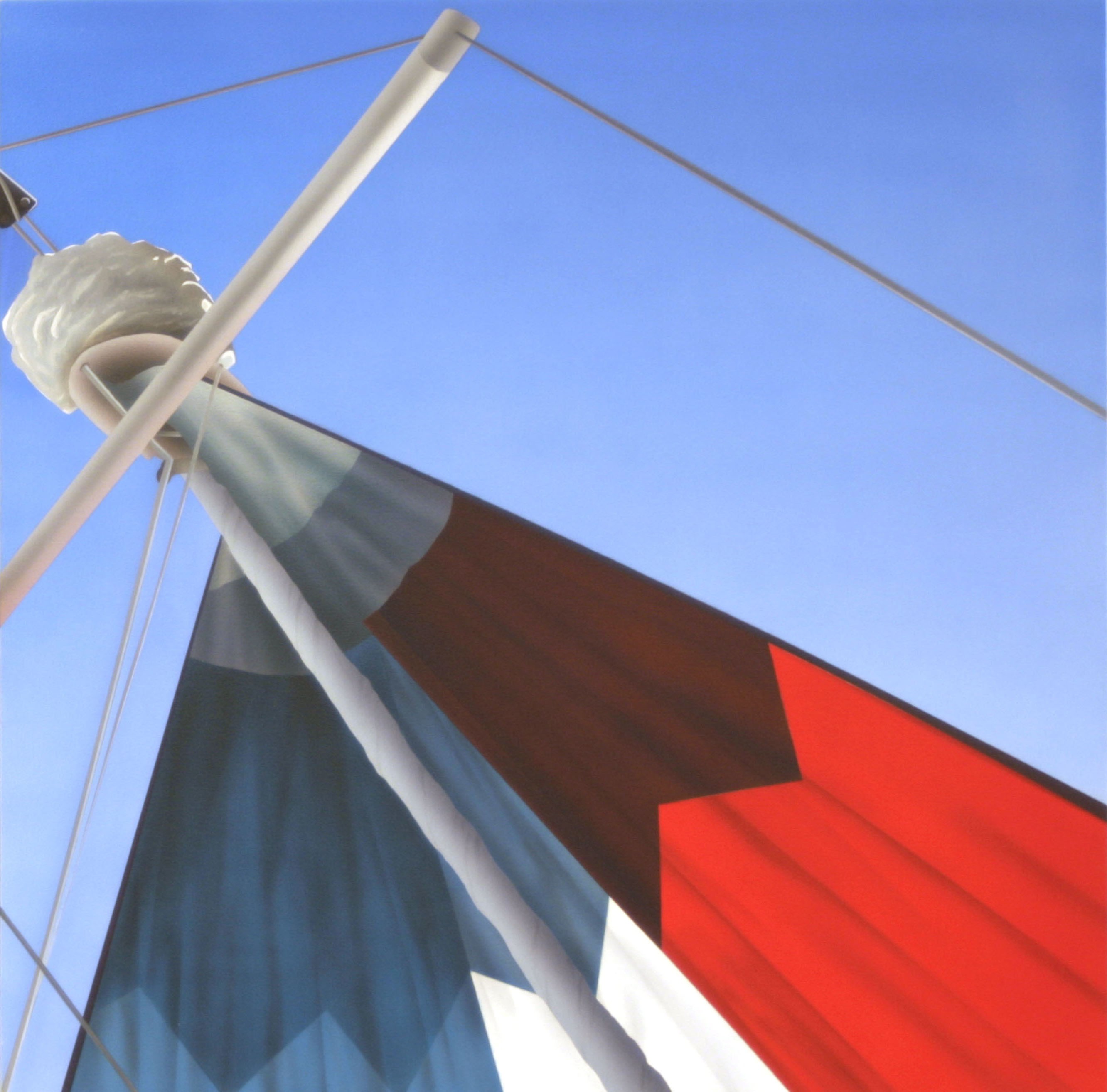 A close up of a sailboat with the number 250 on it.
