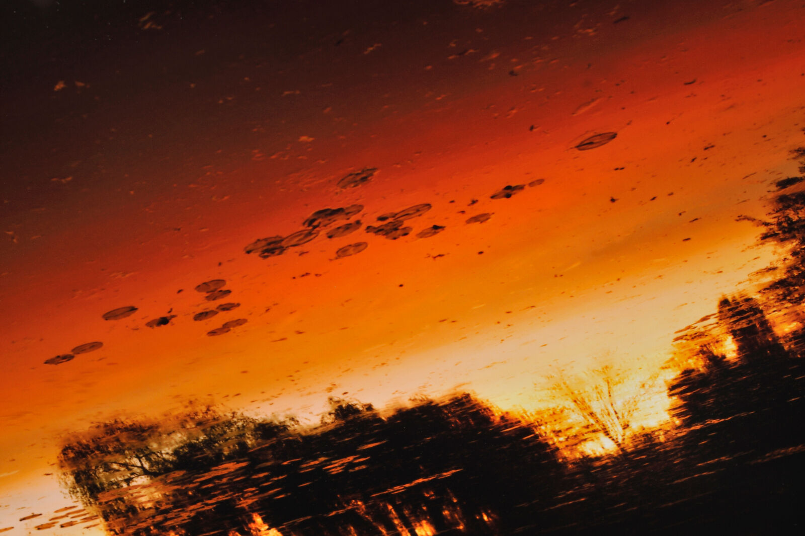 Artwork by Elger Esser, Nocturnes à Giverny, Made of C-Print 