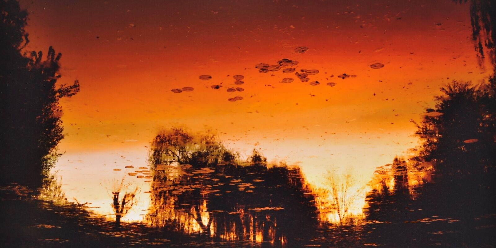 Artwork by Elger Esser, Nocturnes à Giverny, Made of C-Print 