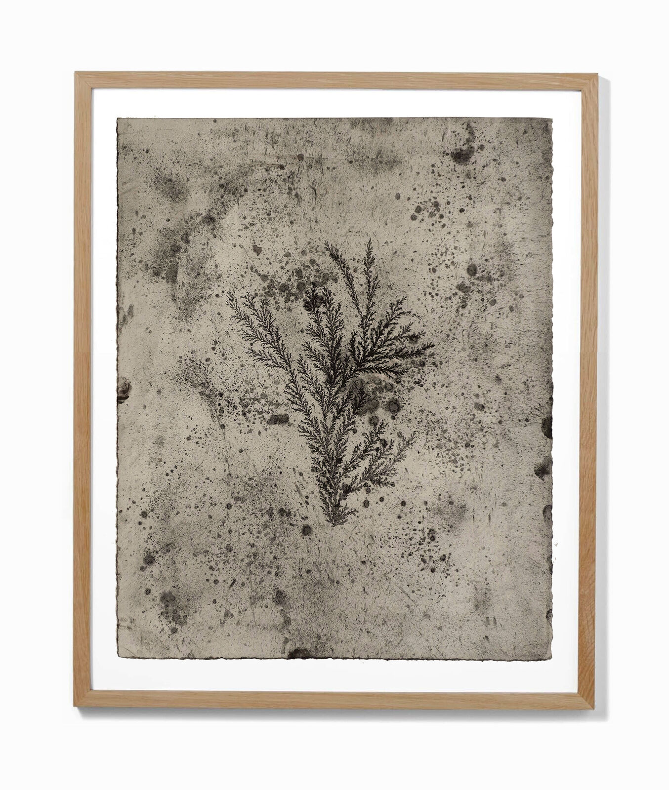 Exodus by Ella Littwitz, 2025