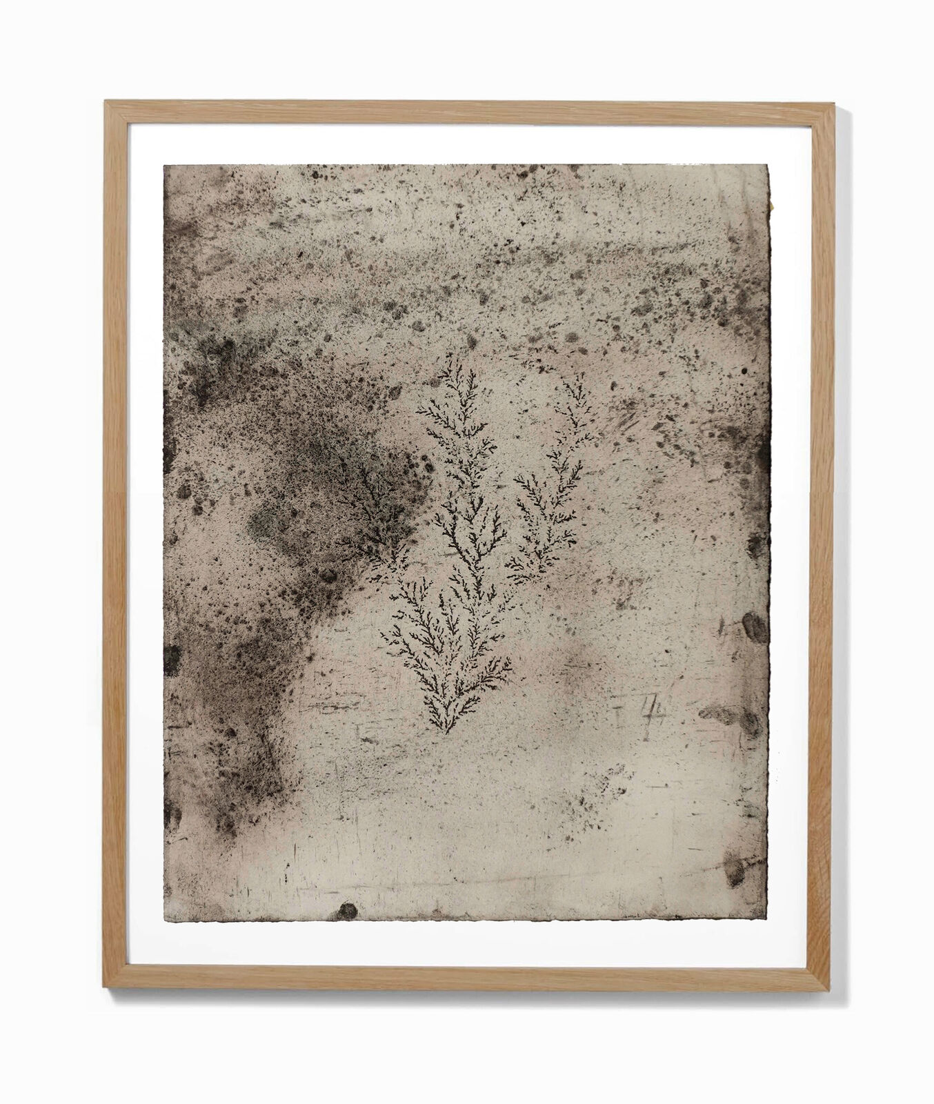 A black and white drawing of a plant in a wooden frame.