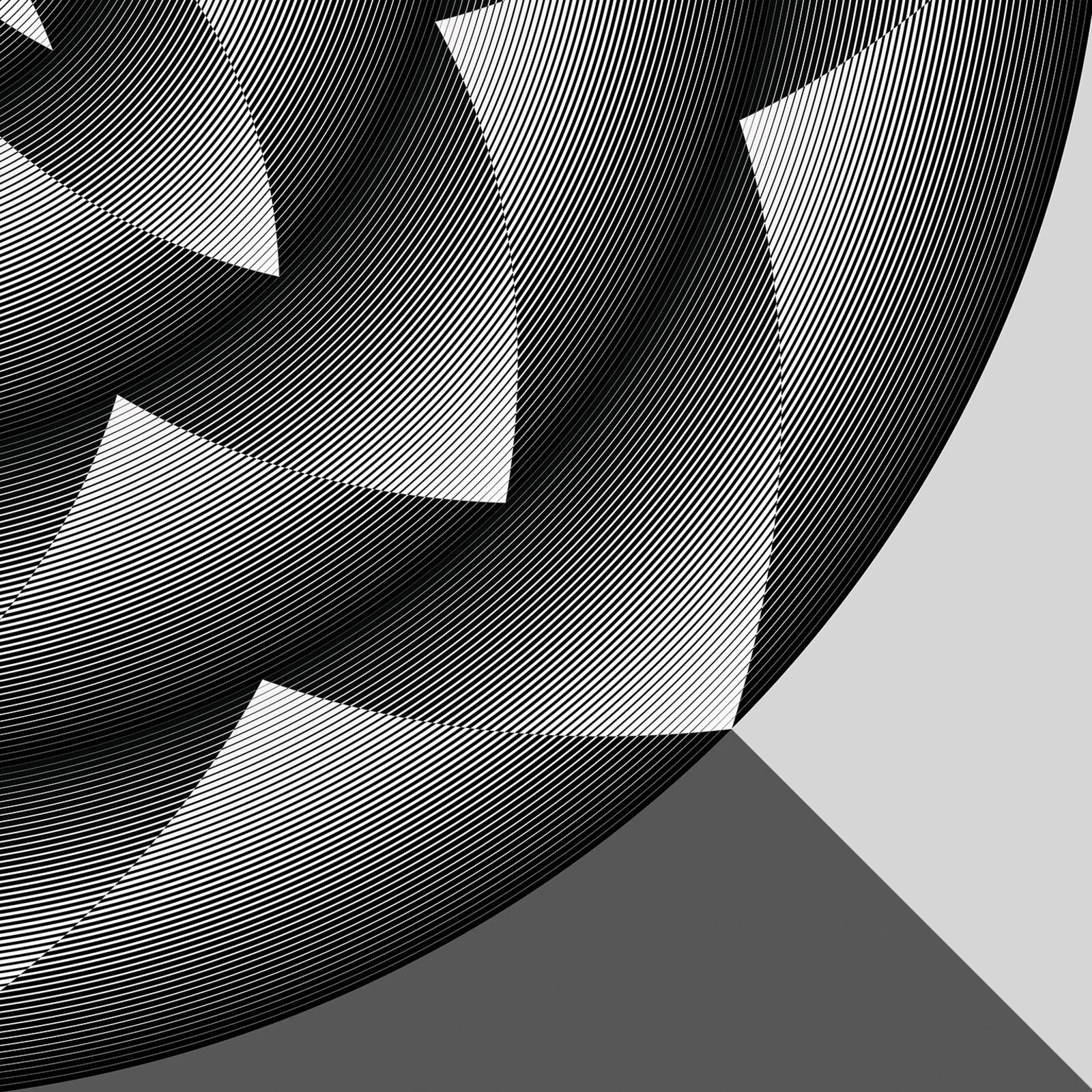 A black and white image of a flower of life.