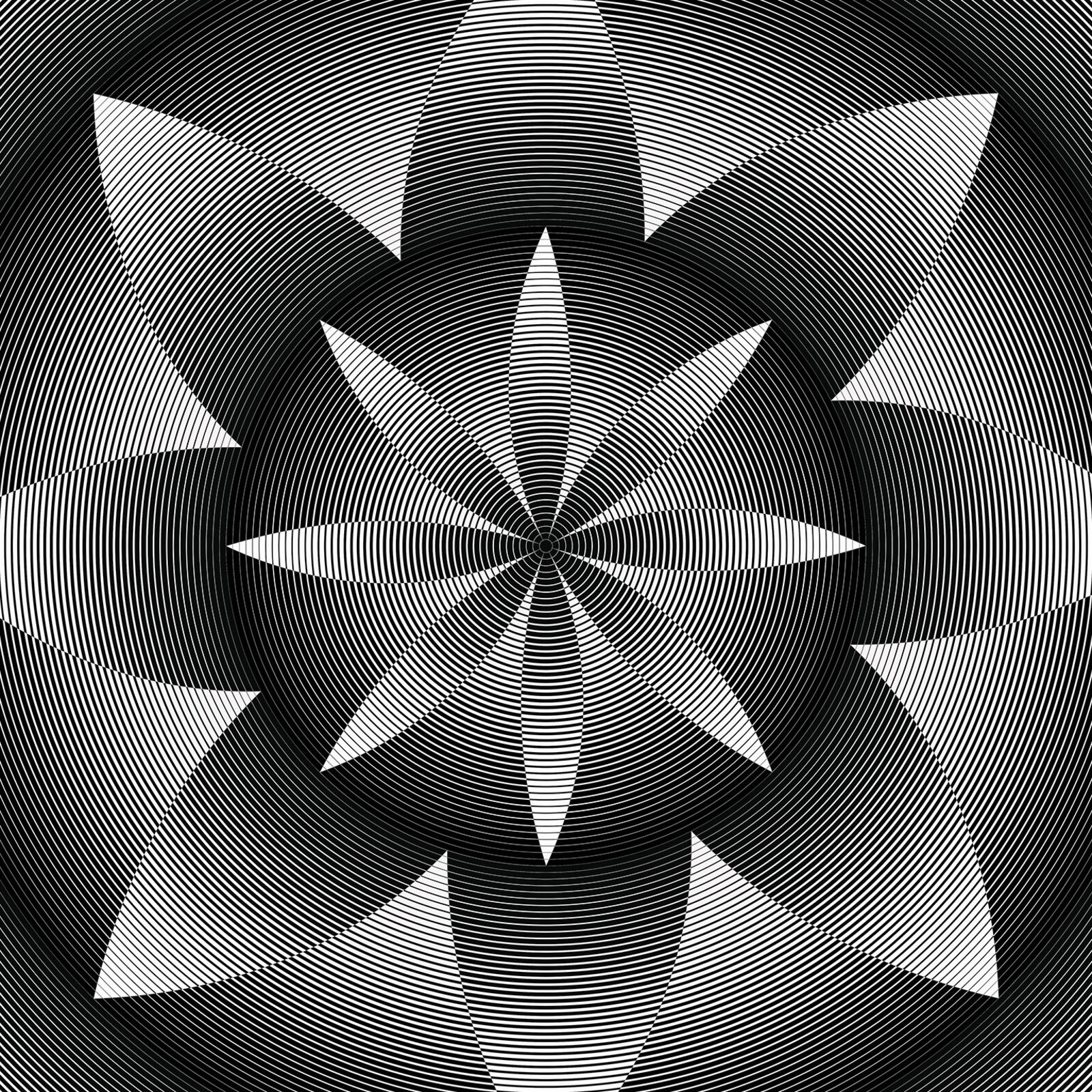 A black and white image of a flower of life.
