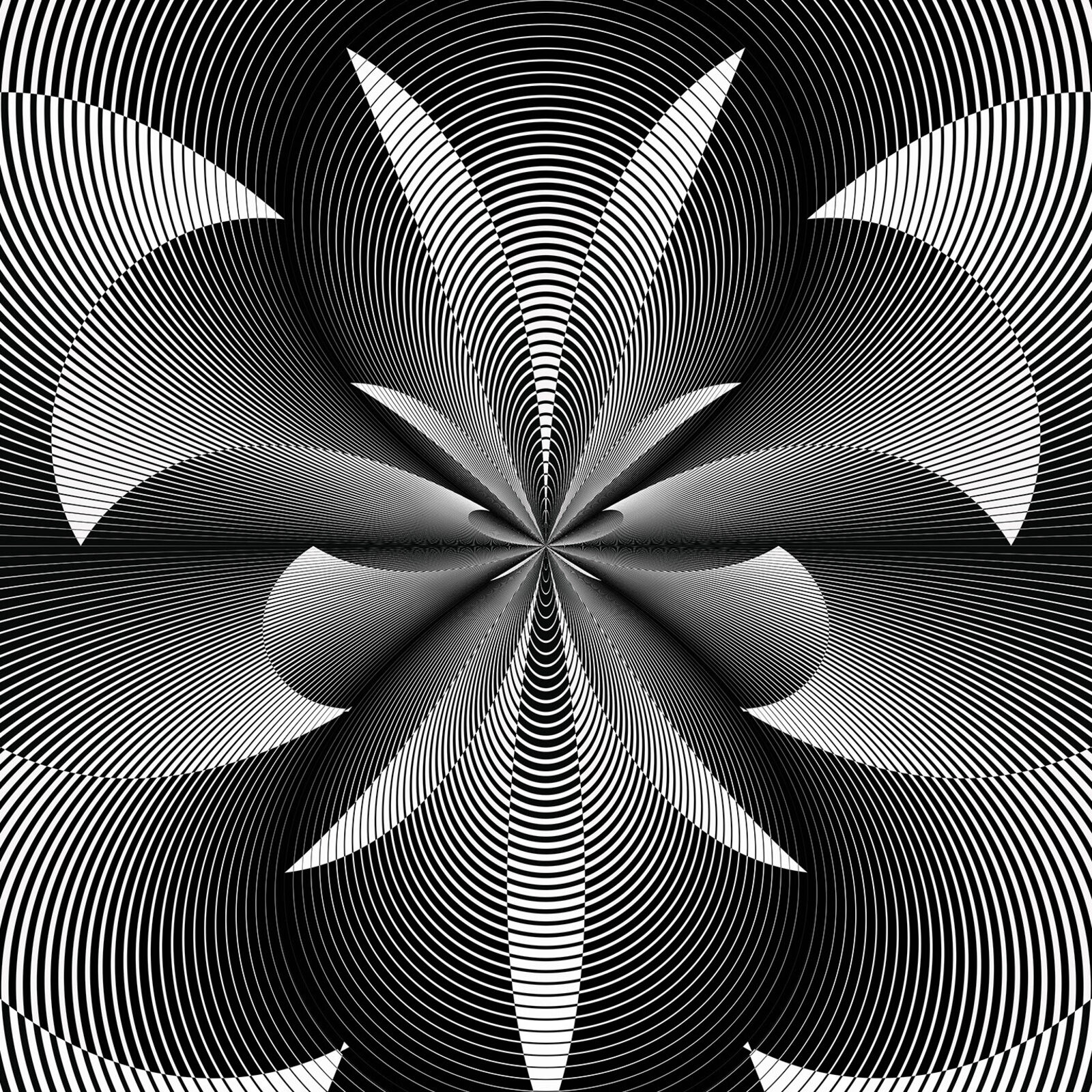 A black and white image of a flower in a circle.