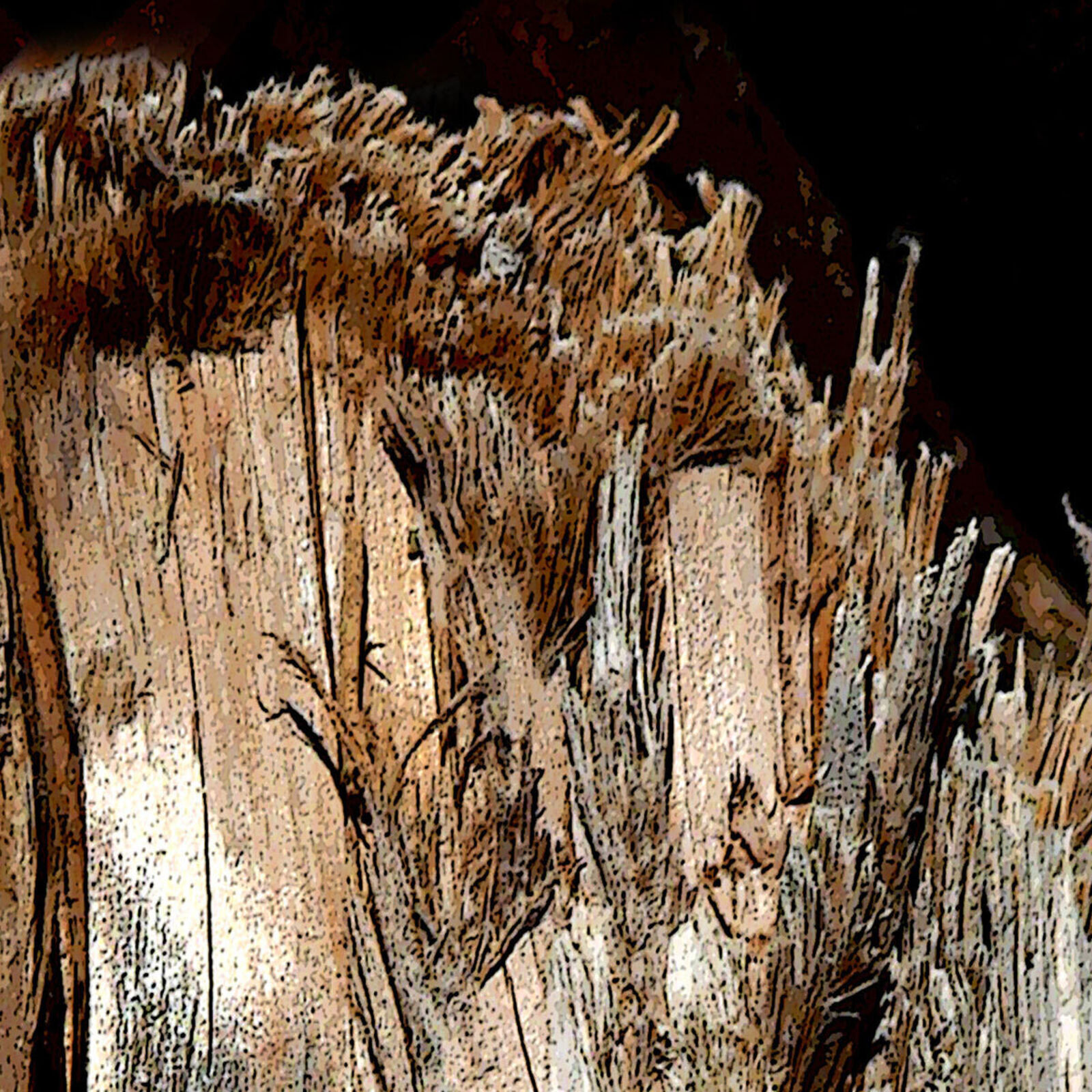 Artwork by Enzo Ragazzini, Creature - Wood IX, Made of Archival Giclée Pigment Print on Archival Paper 