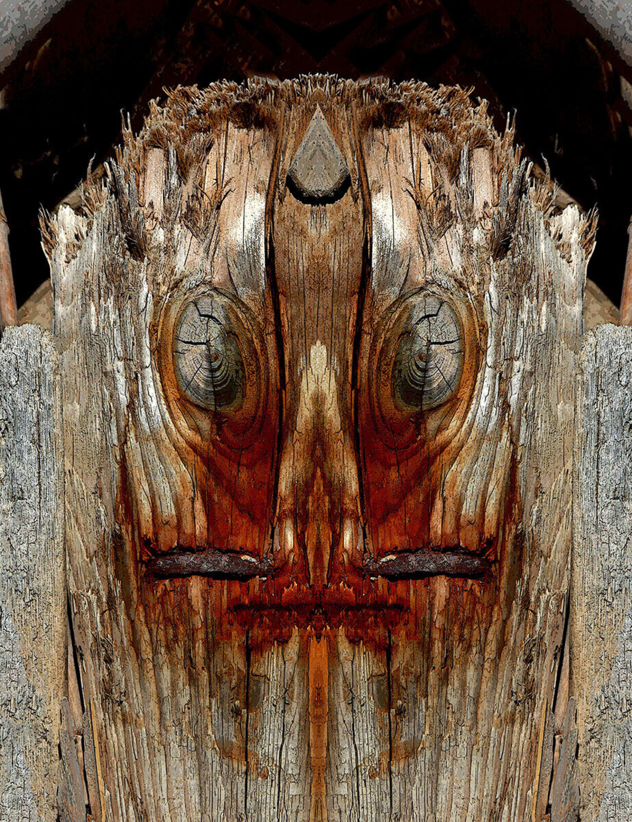 Artwork by Enzo Ragazzini, Creature - Wood IX, Made of Archival Giclée Pigment Print on Archival Paper 