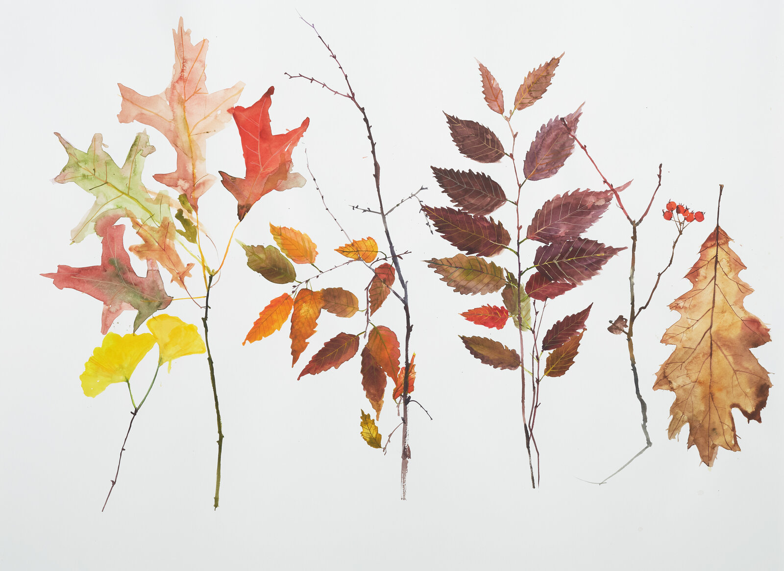 Fall Leaves by Eunju Kang, 2022