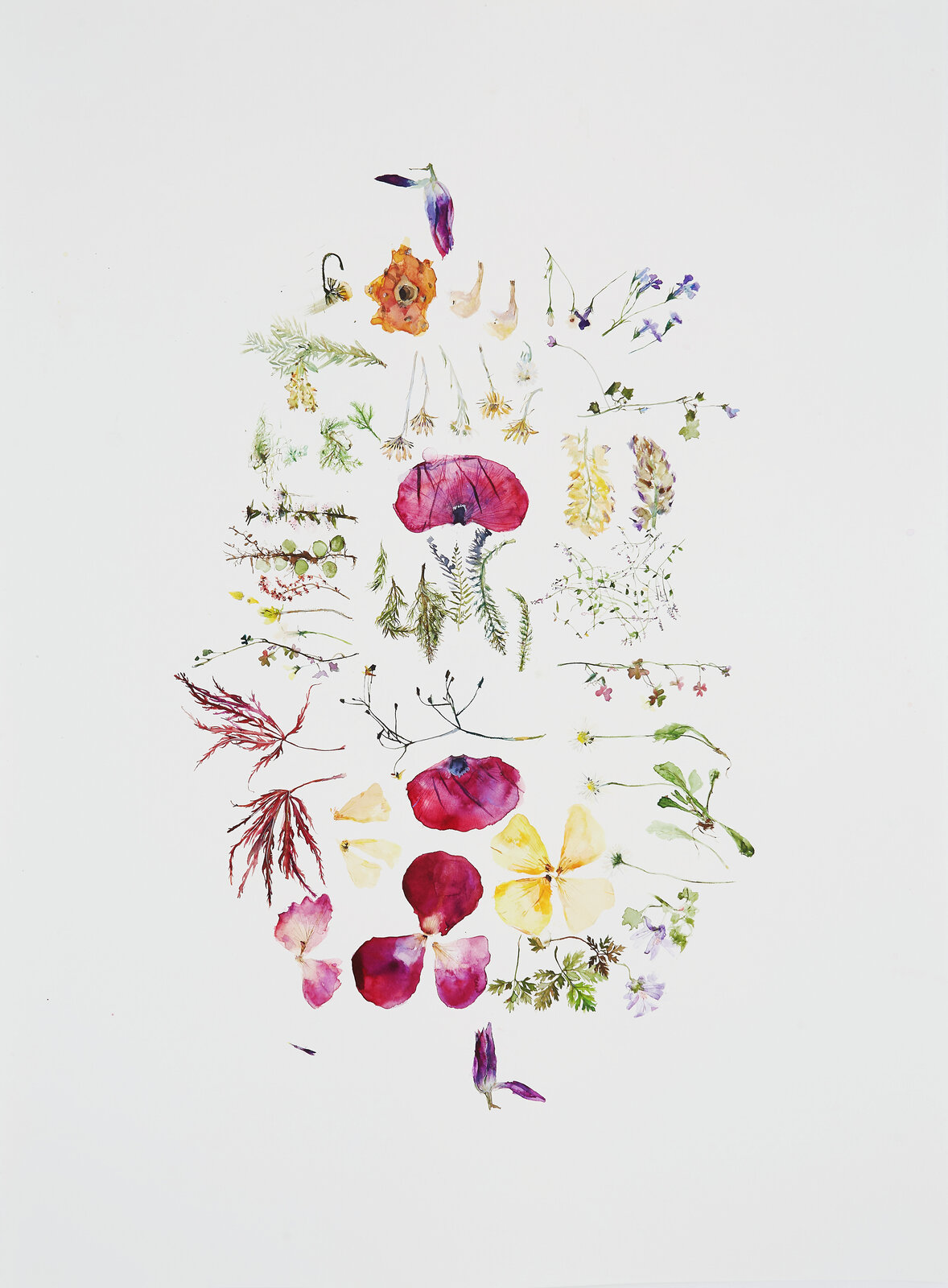 Gift from My Sister, New Zealand by Eunju Kang, 2024