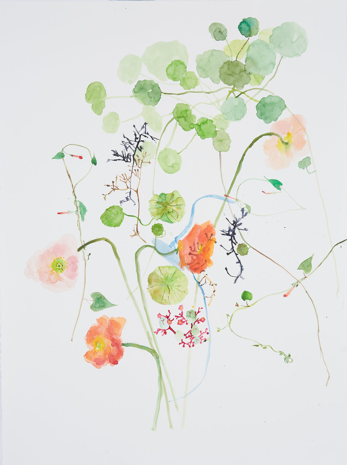 Still Life with Pink Poppy by Eunju Kang, 2024