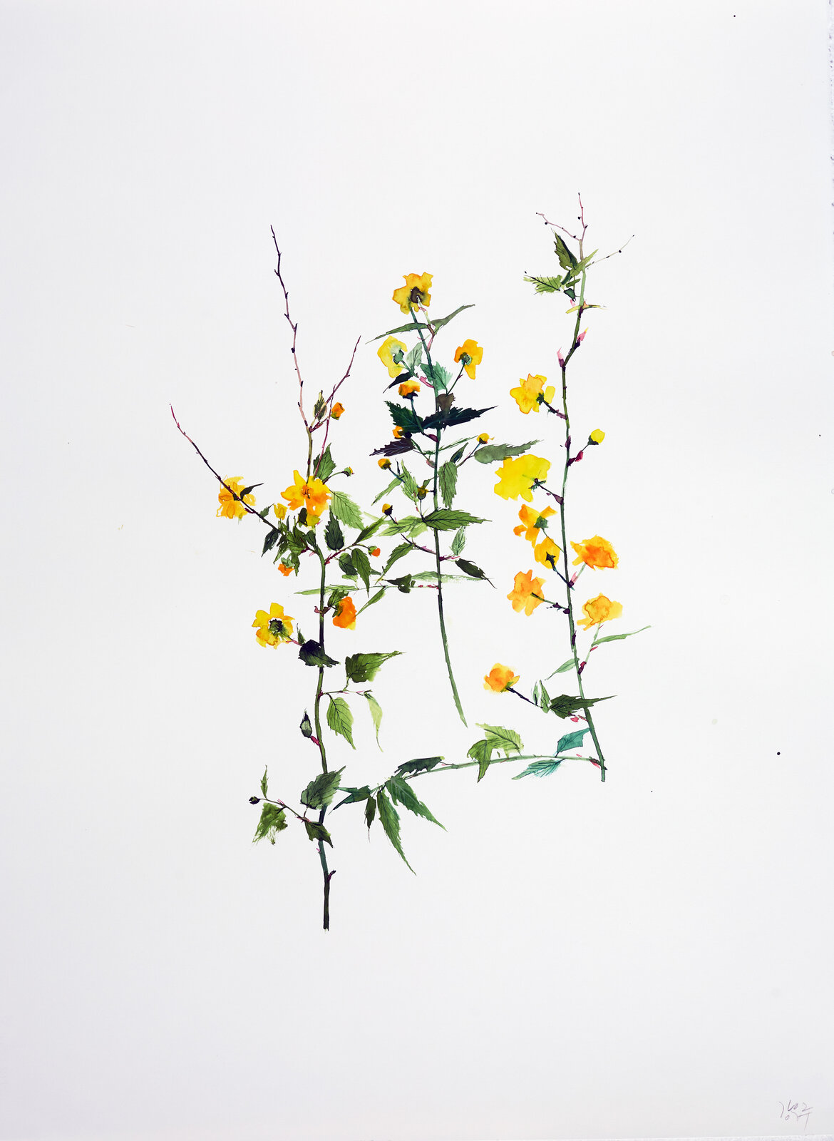 Yellow Blossom by Eunju Kang, 2021