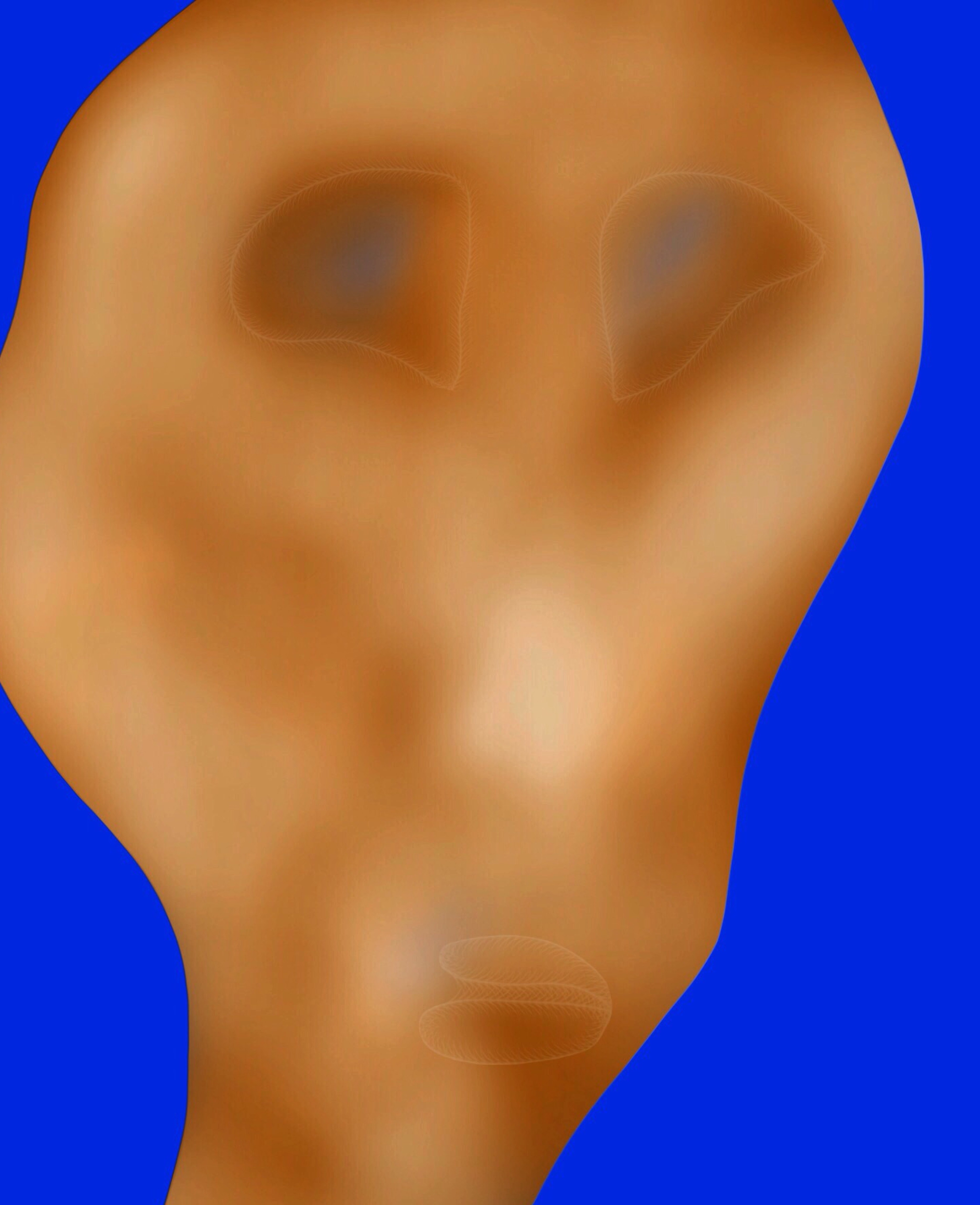 An illustration of a human ear with a blue background.
