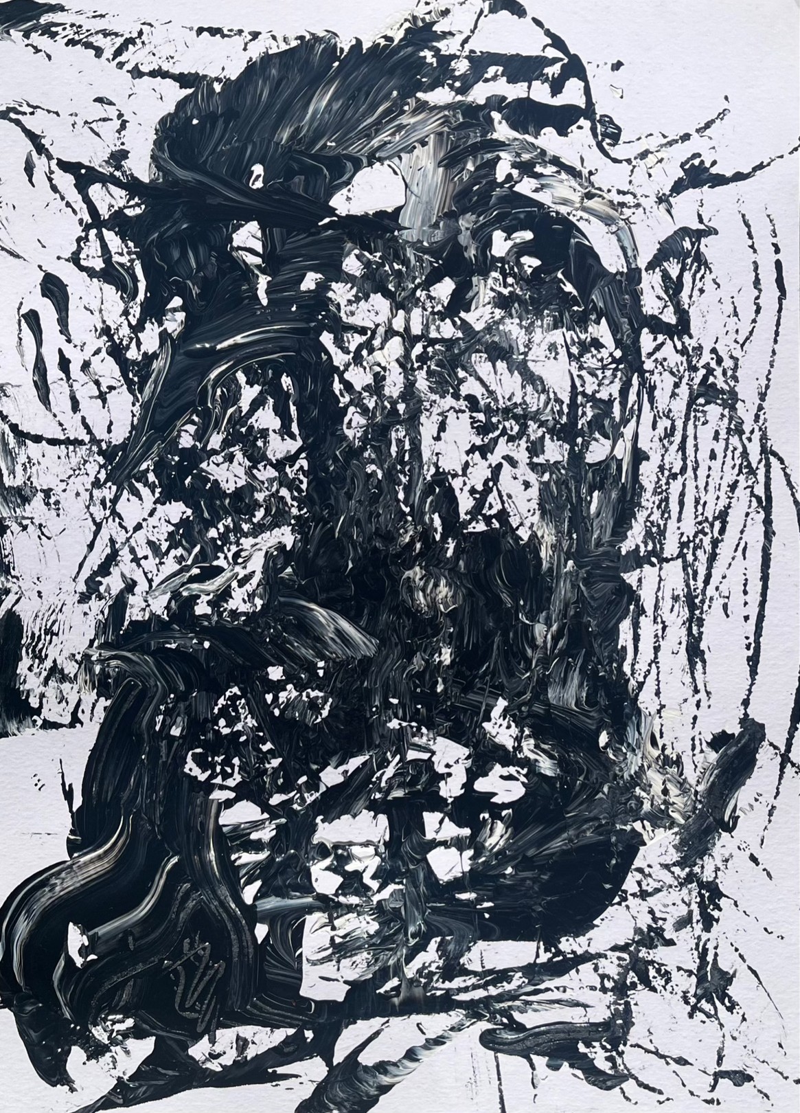 Dragon Bird by Fabia  Kleinpeter, 2025