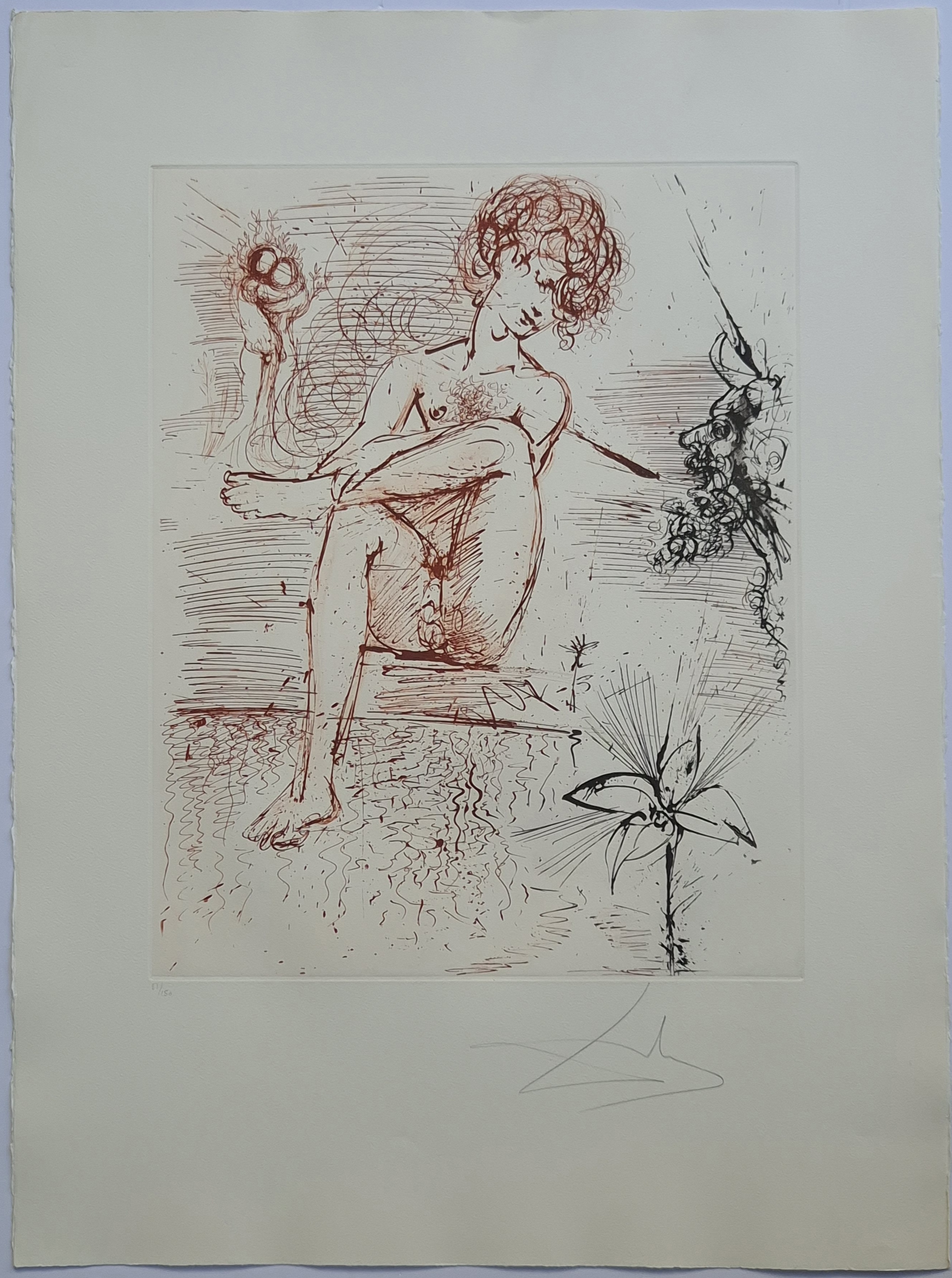 Narcissus
