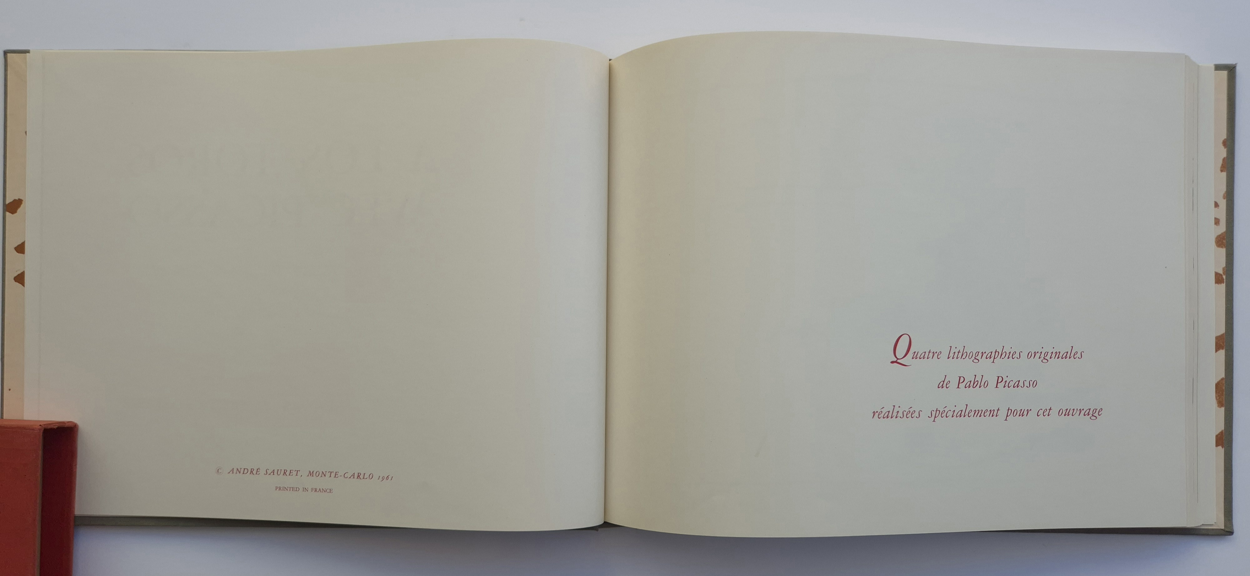 A Los Toros Picasso, Book