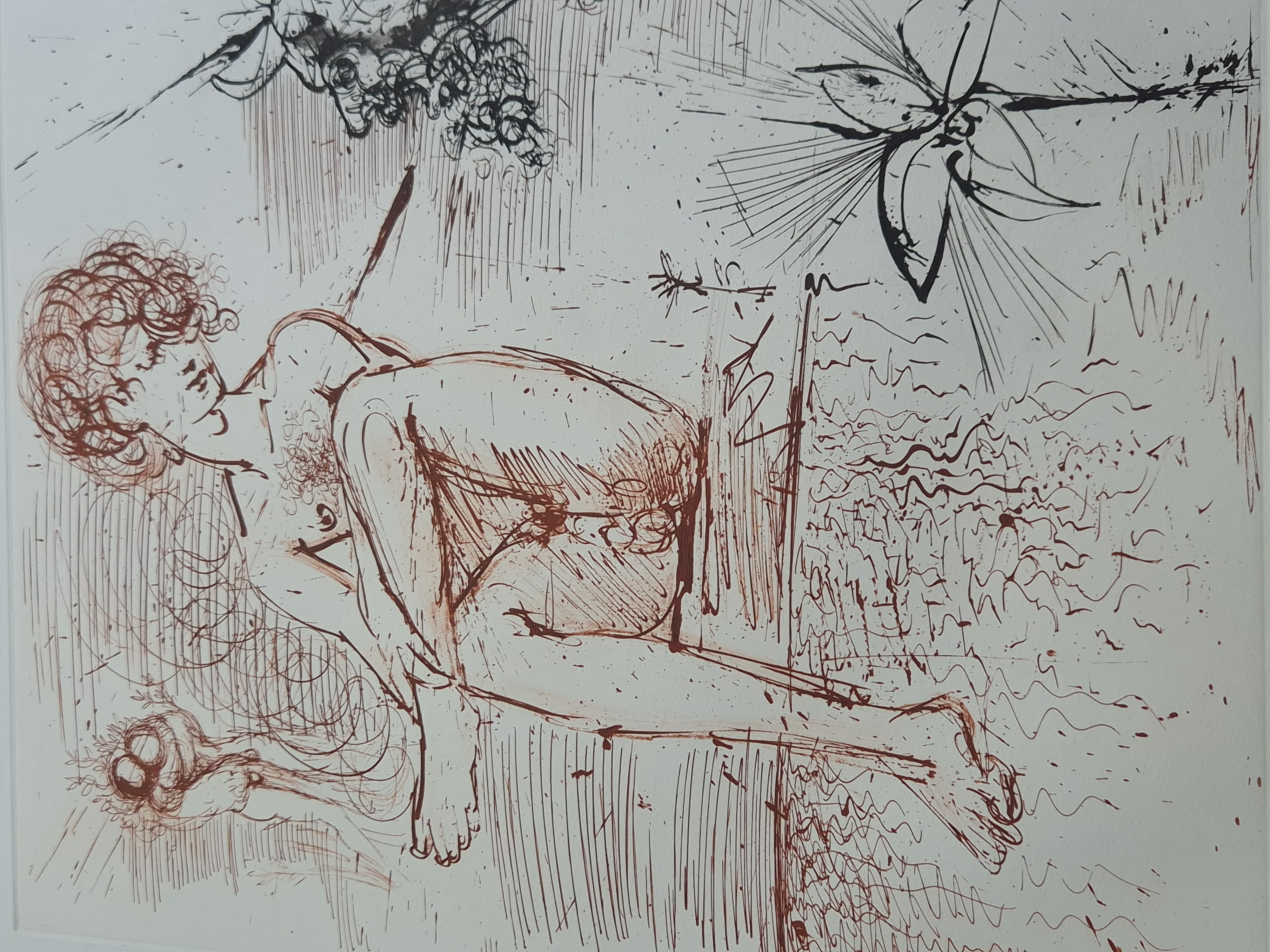 Narcissus