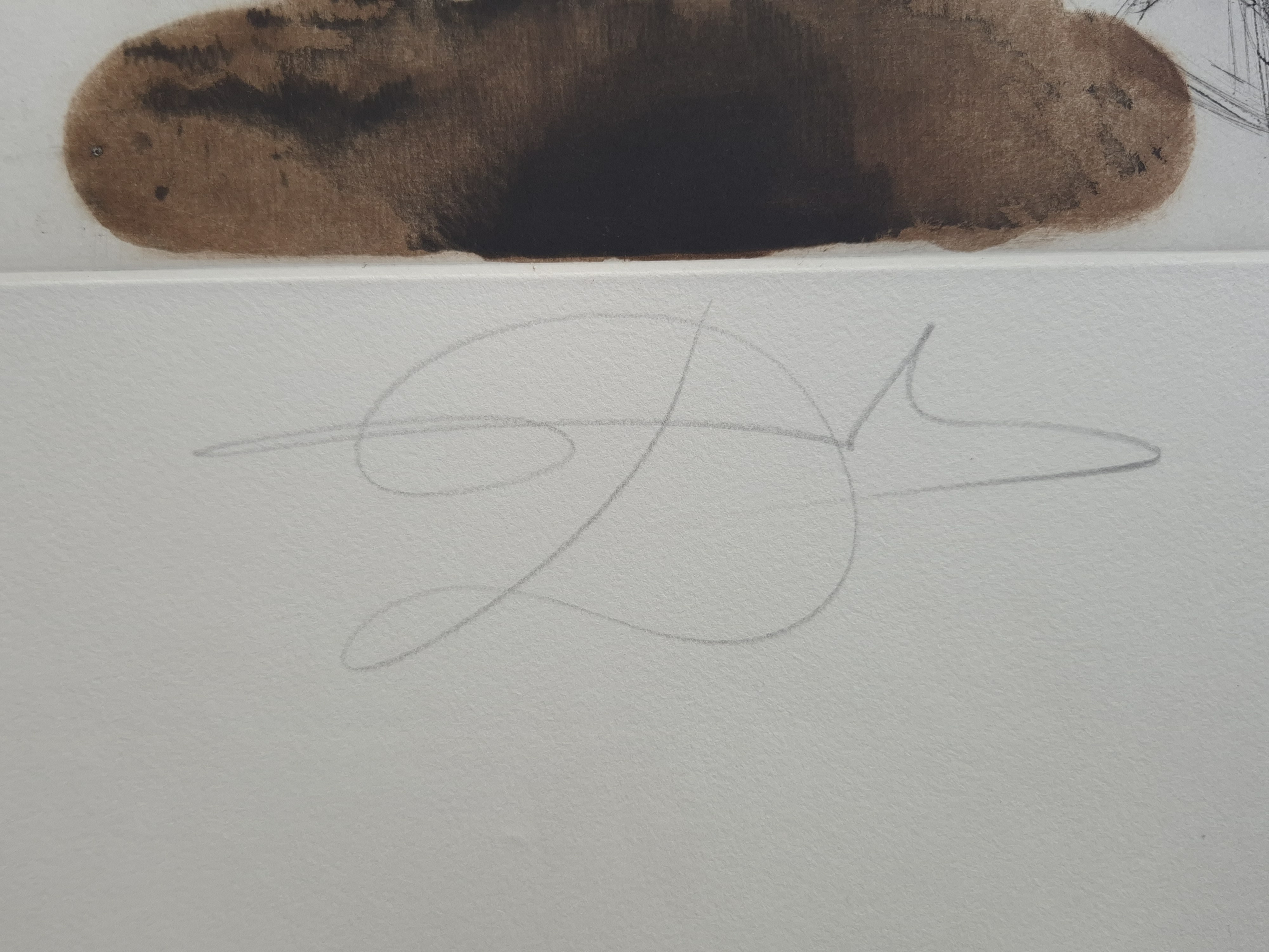 Oedipus