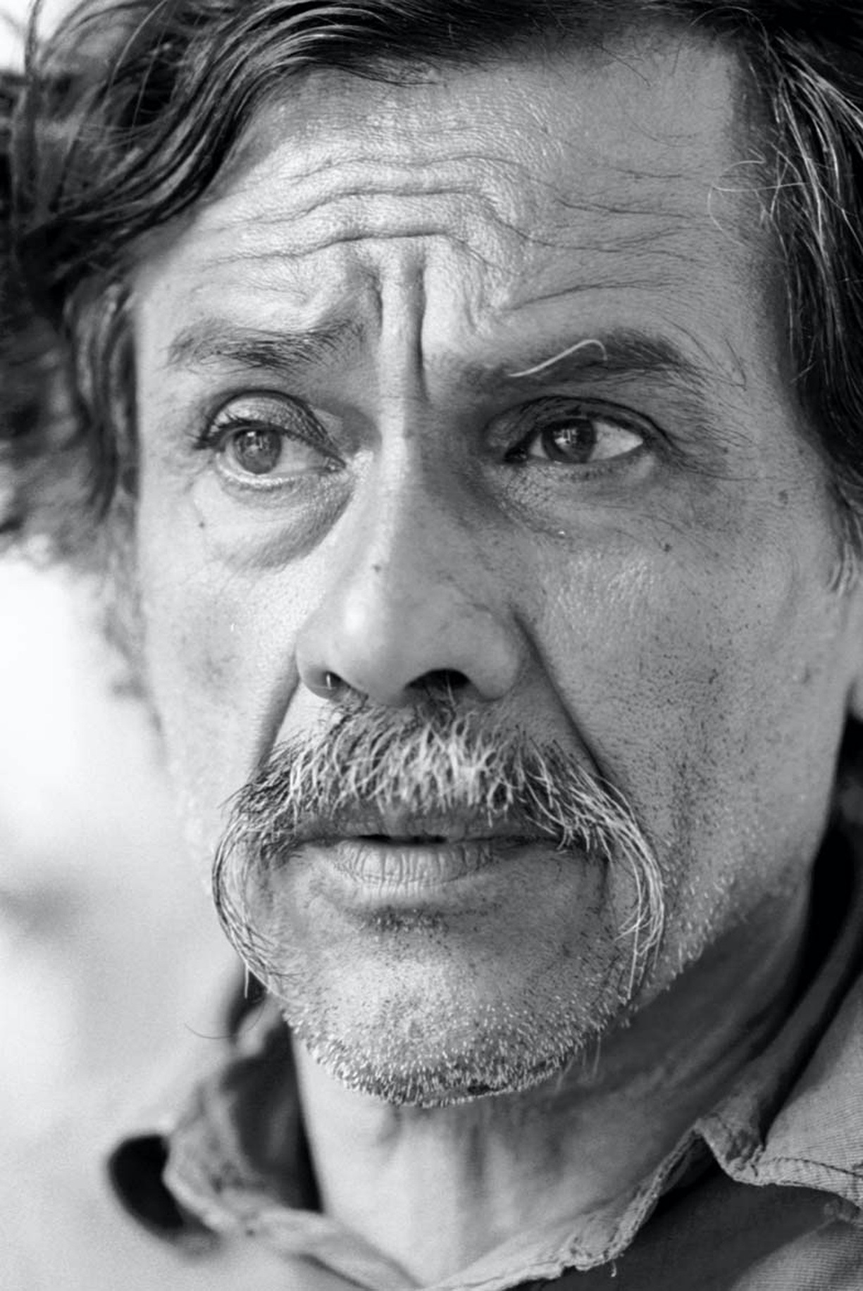 A red kite with a gold fish on it.