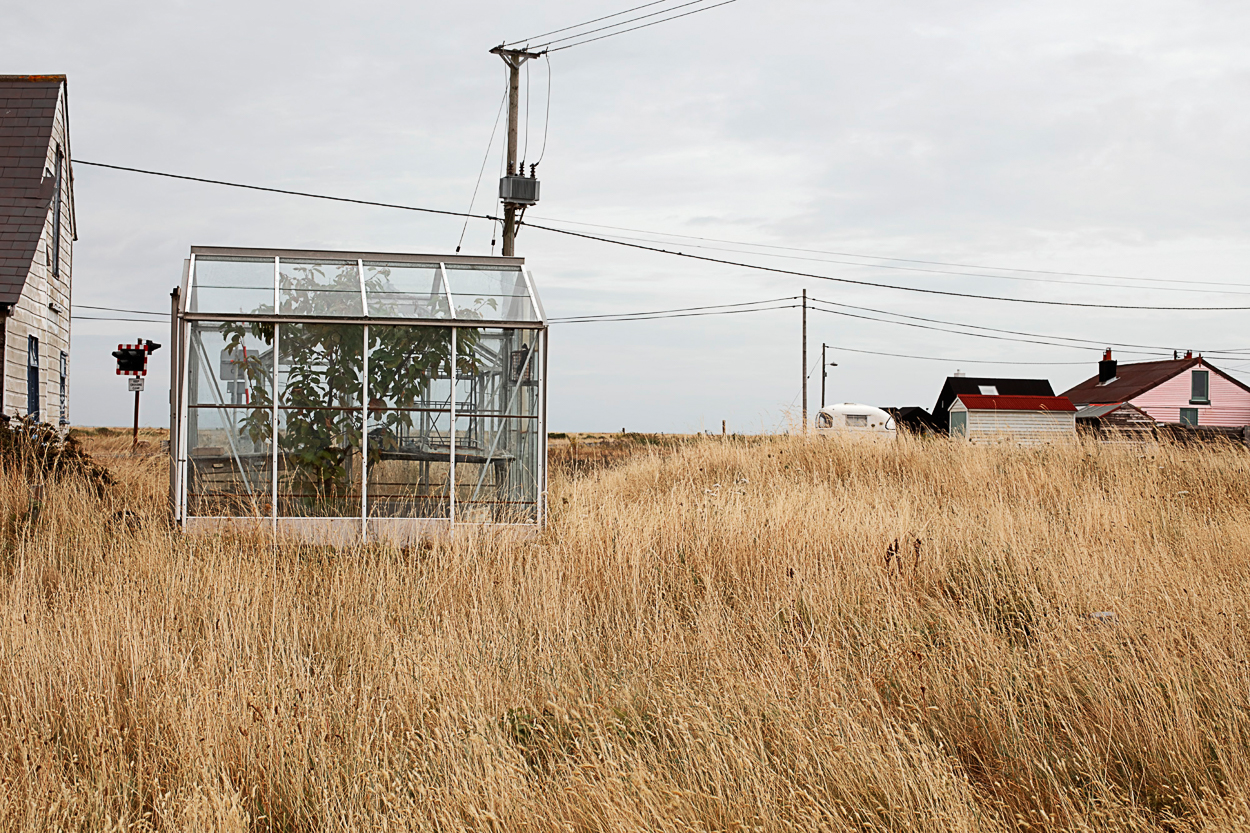 Dungeness by Frank Watson, 2016