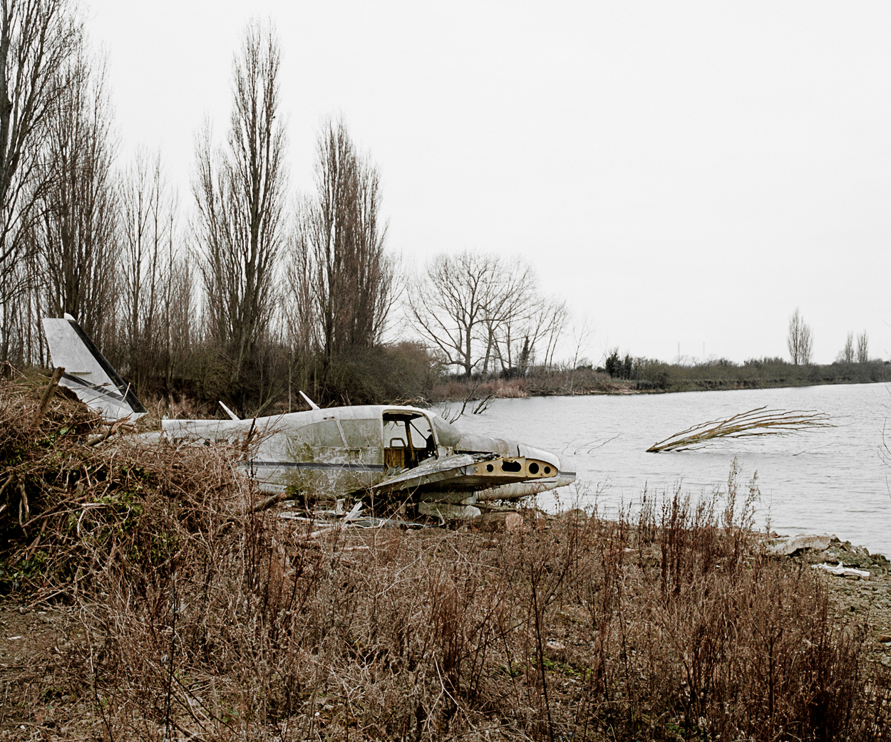 Cliffe Marshes by Frank Watson, 2012