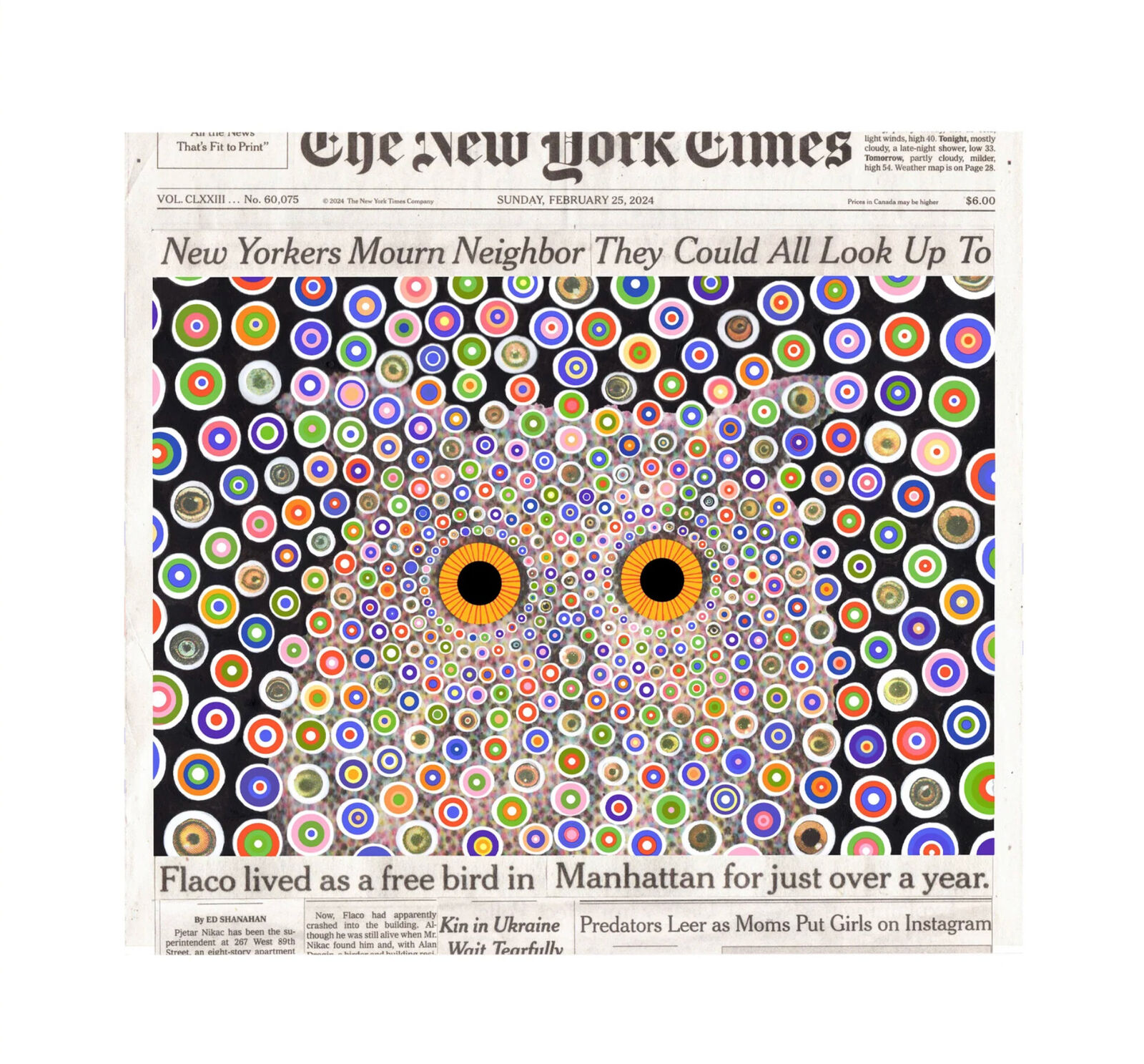 A newspaper front page with a picture of an owl on it.