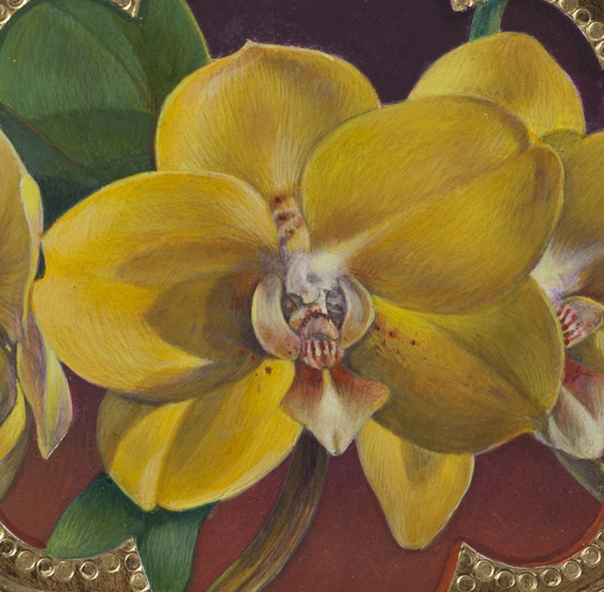 Our Yellow Orchid