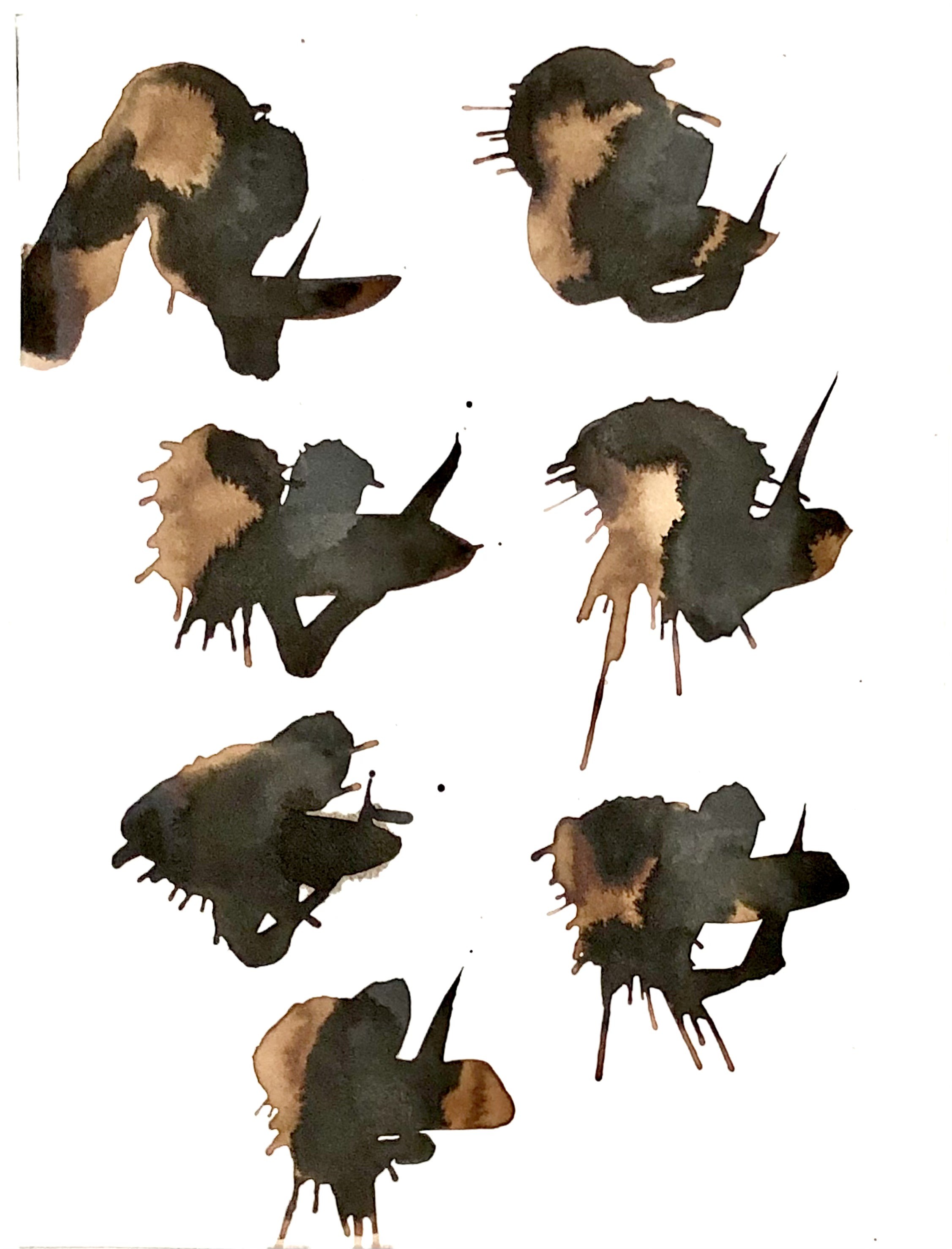 A set of six black and brown ink splatters on a white background.