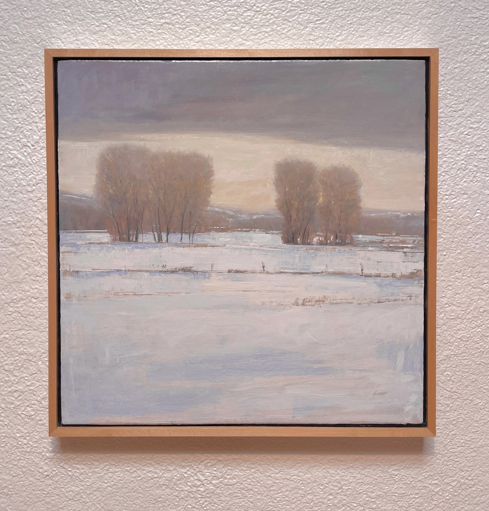 Serene Winter