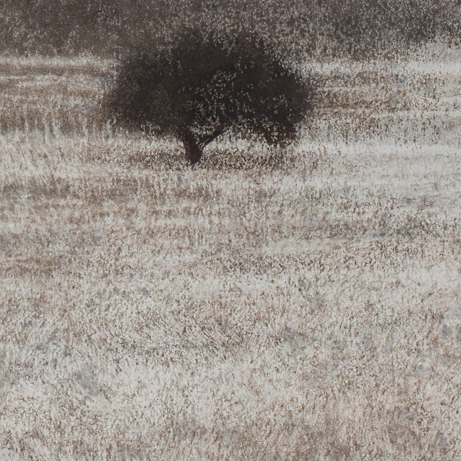 Artwork by George Tzannes, Olive Grove, Made of Monotype on Archival Paper 