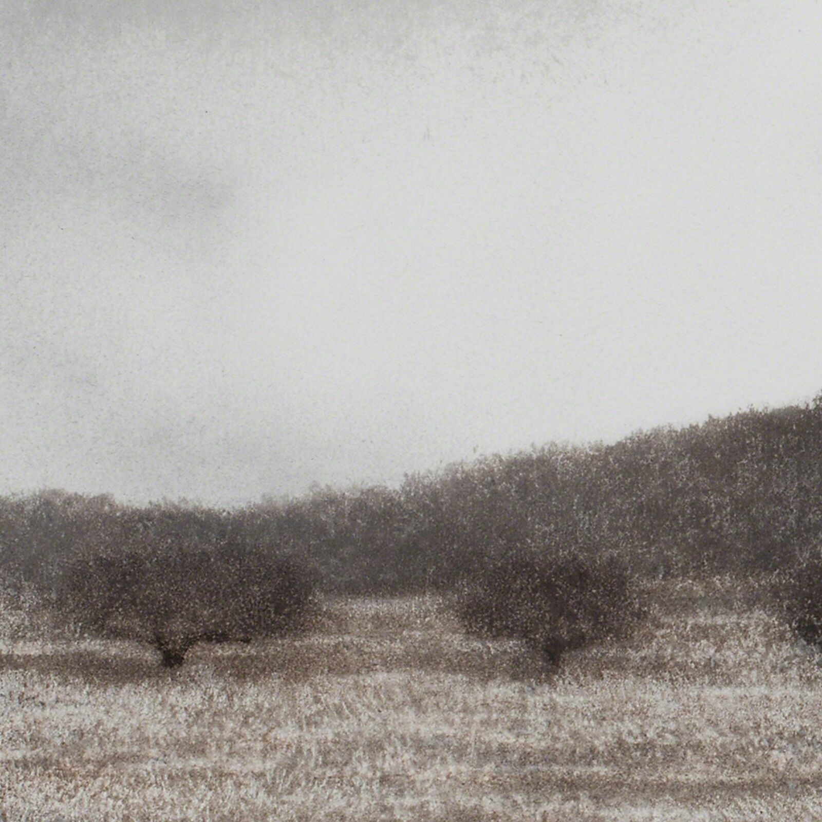 Artwork by George Tzannes, Olive Grove, Made of Monotype on Archival Paper 