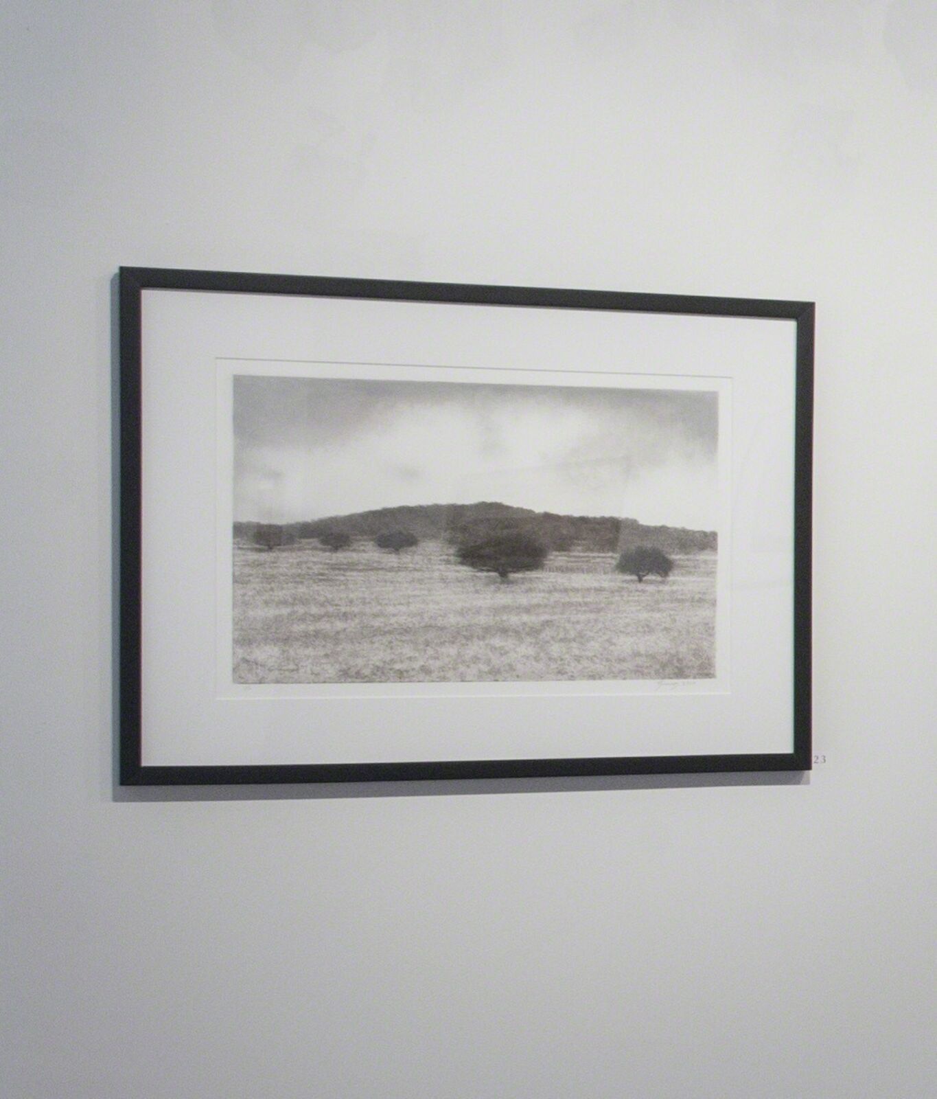 Artwork by George Tzannes, Olive Grove, Made of Monotype on Archival Paper 