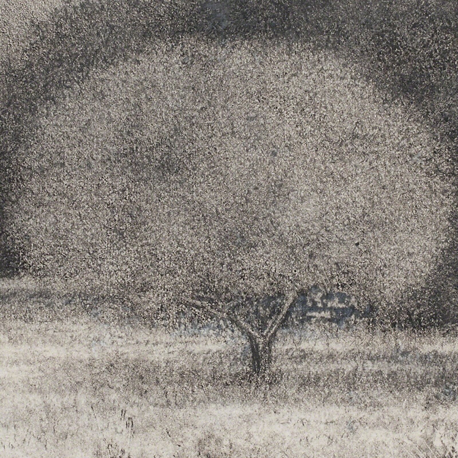 Artwork by George Tzannes, Olive Grove, Made of Monotype on Archival Paper 
