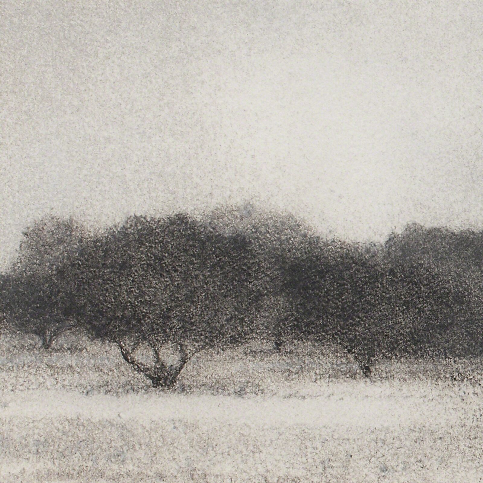 Artwork by George Tzannes, Olive Grove, Made of Monotype on Archival Paper 