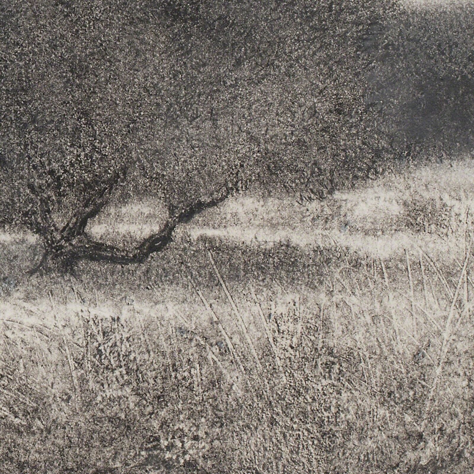 Artwork by George Tzannes, Olive Grove, Made of Monotype on Archival Paper 
