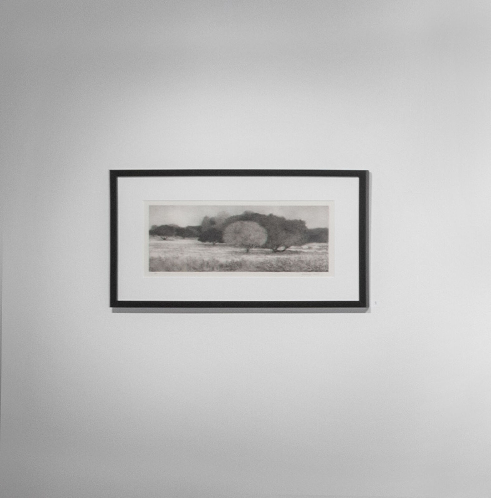 Artwork by George Tzannes, Olive Grove, Made of Monotype on Archival Paper 