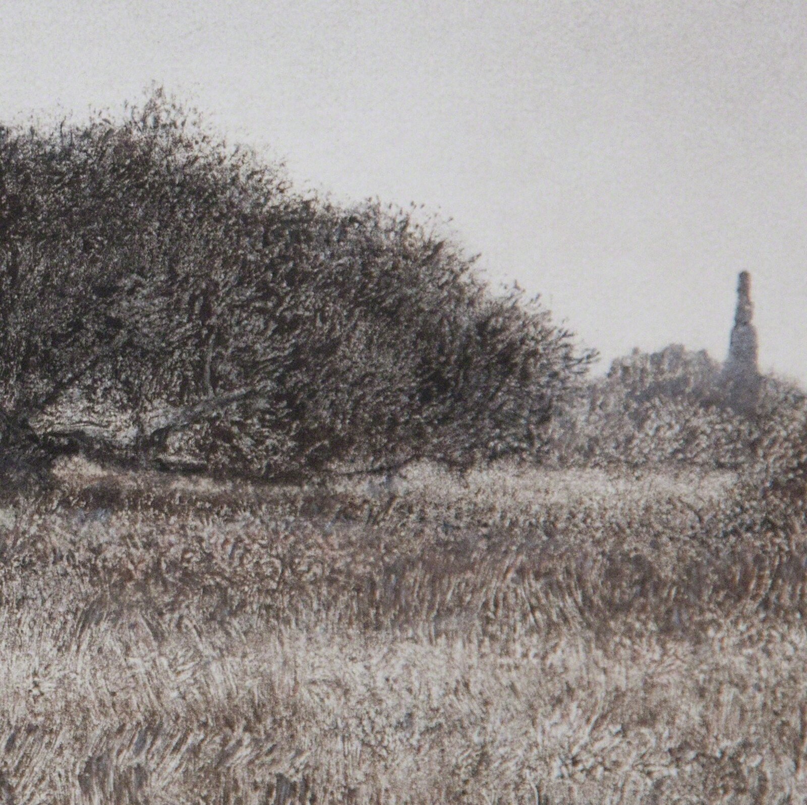 Artwork by George Tzannes, Olive Trees in Field, Made of Monotype on Archivale Paper 
