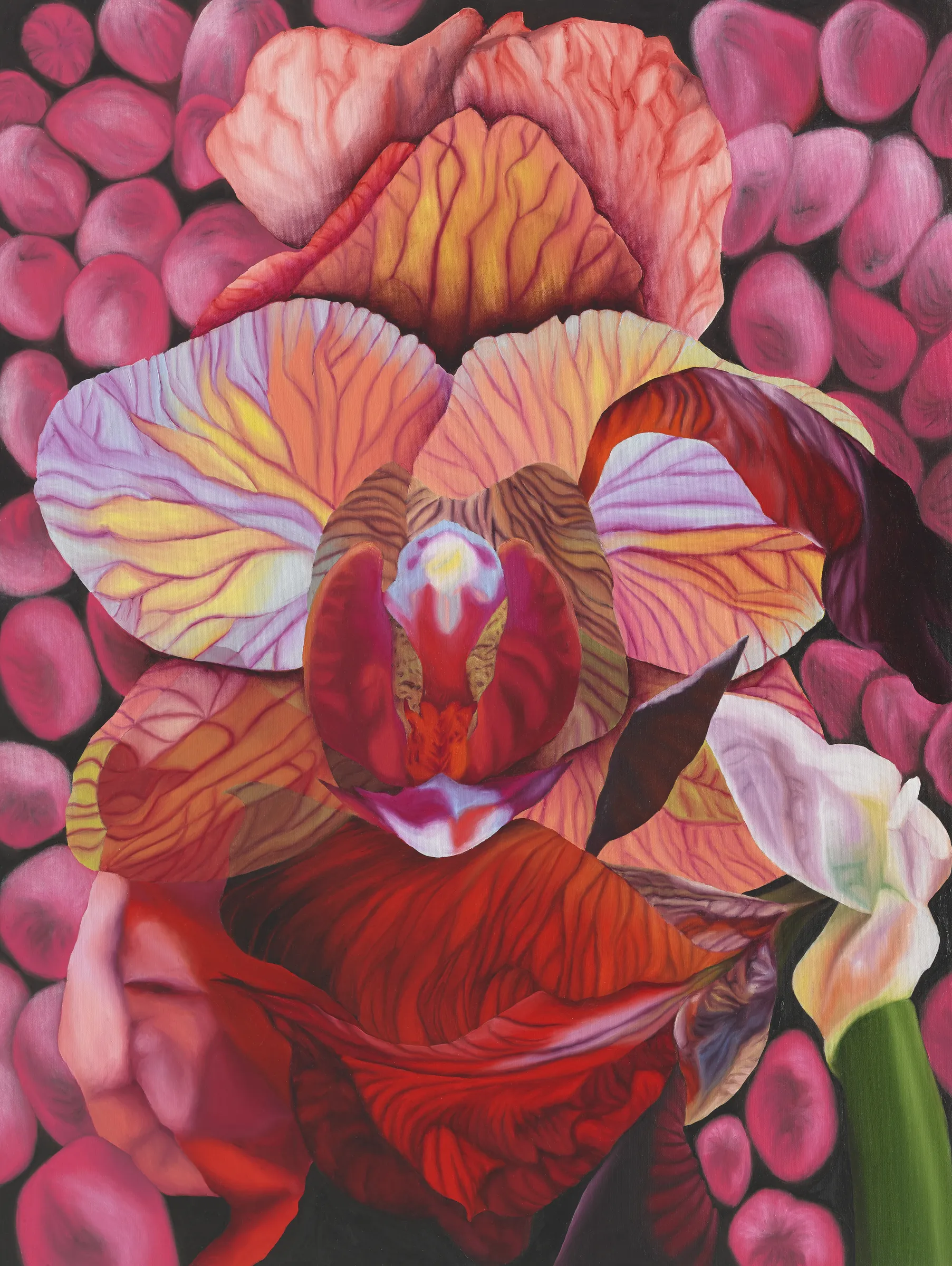 A painting of a red and orange flower on a black background.