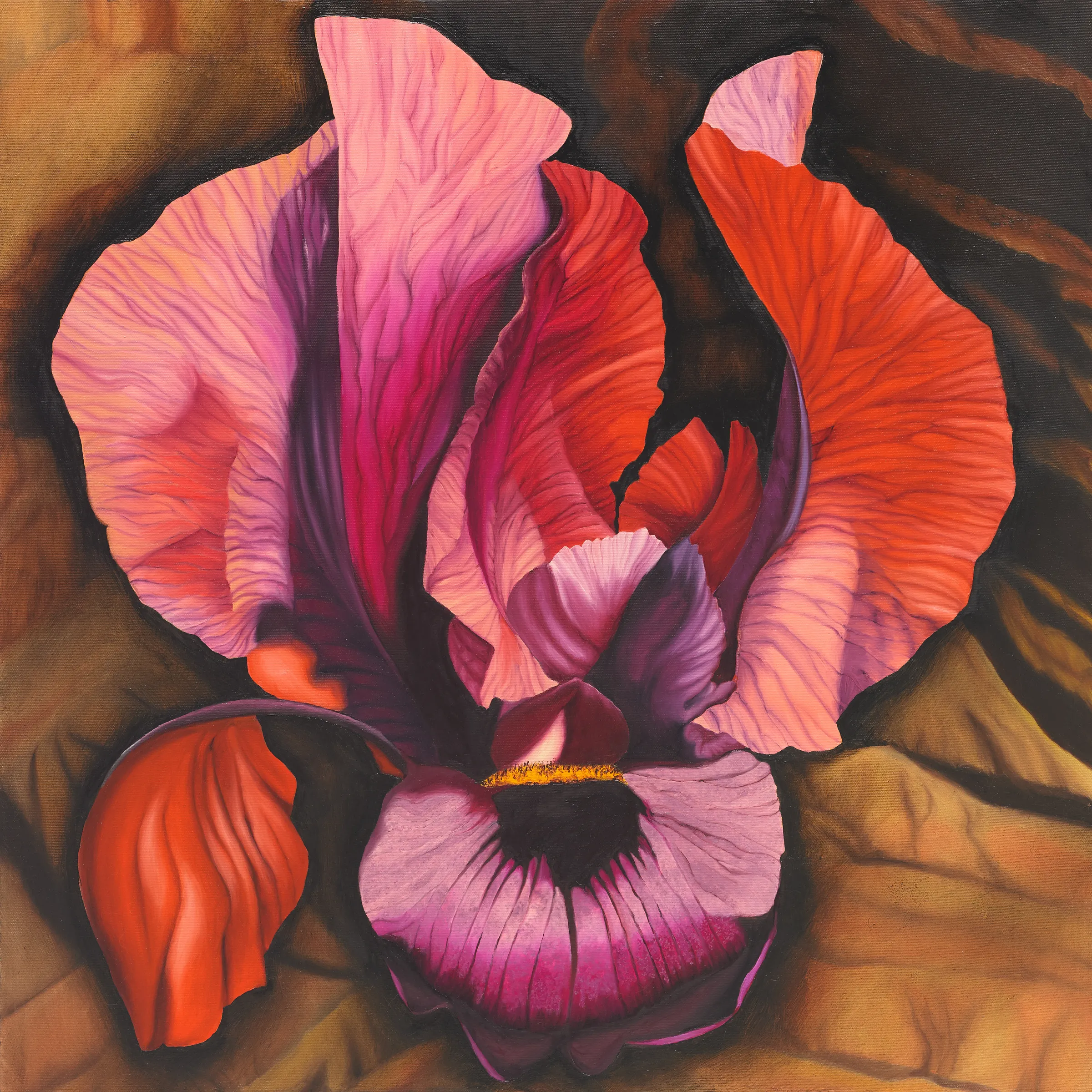 A painting of a pink and red flower on a brown background.