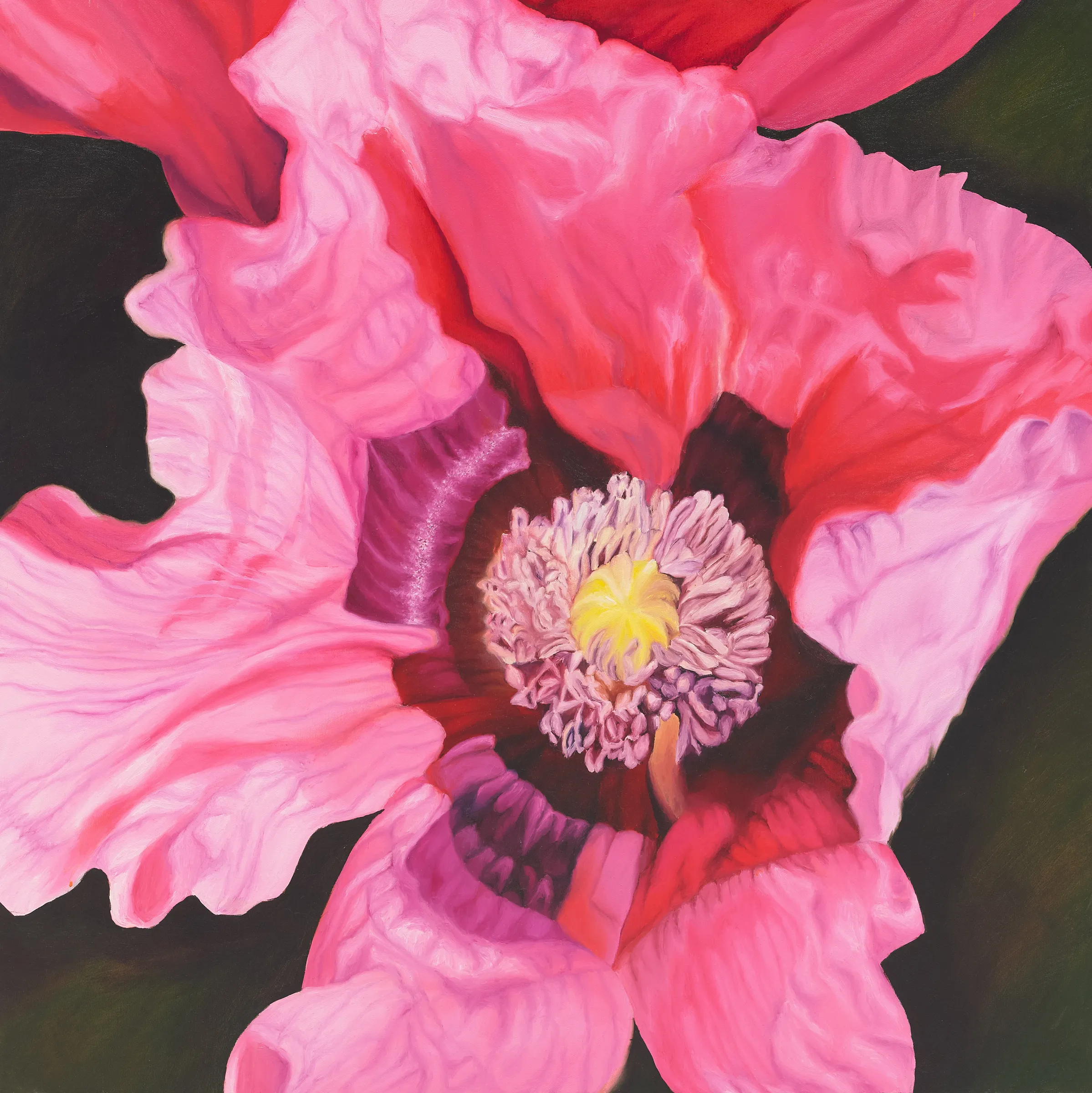 A painting of a pink flower on a black background.