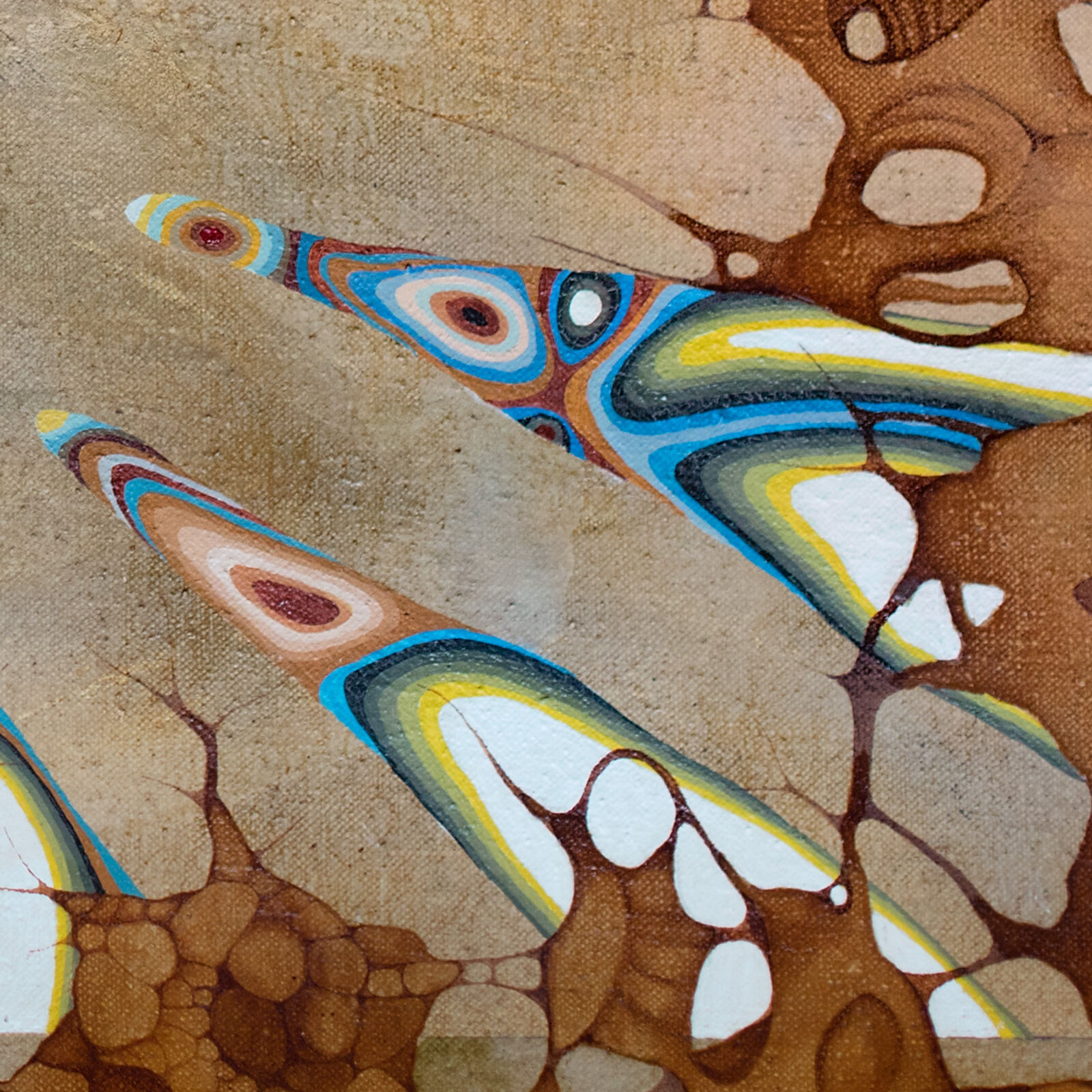 A painting of a circular pattern of blue and brown feathers.