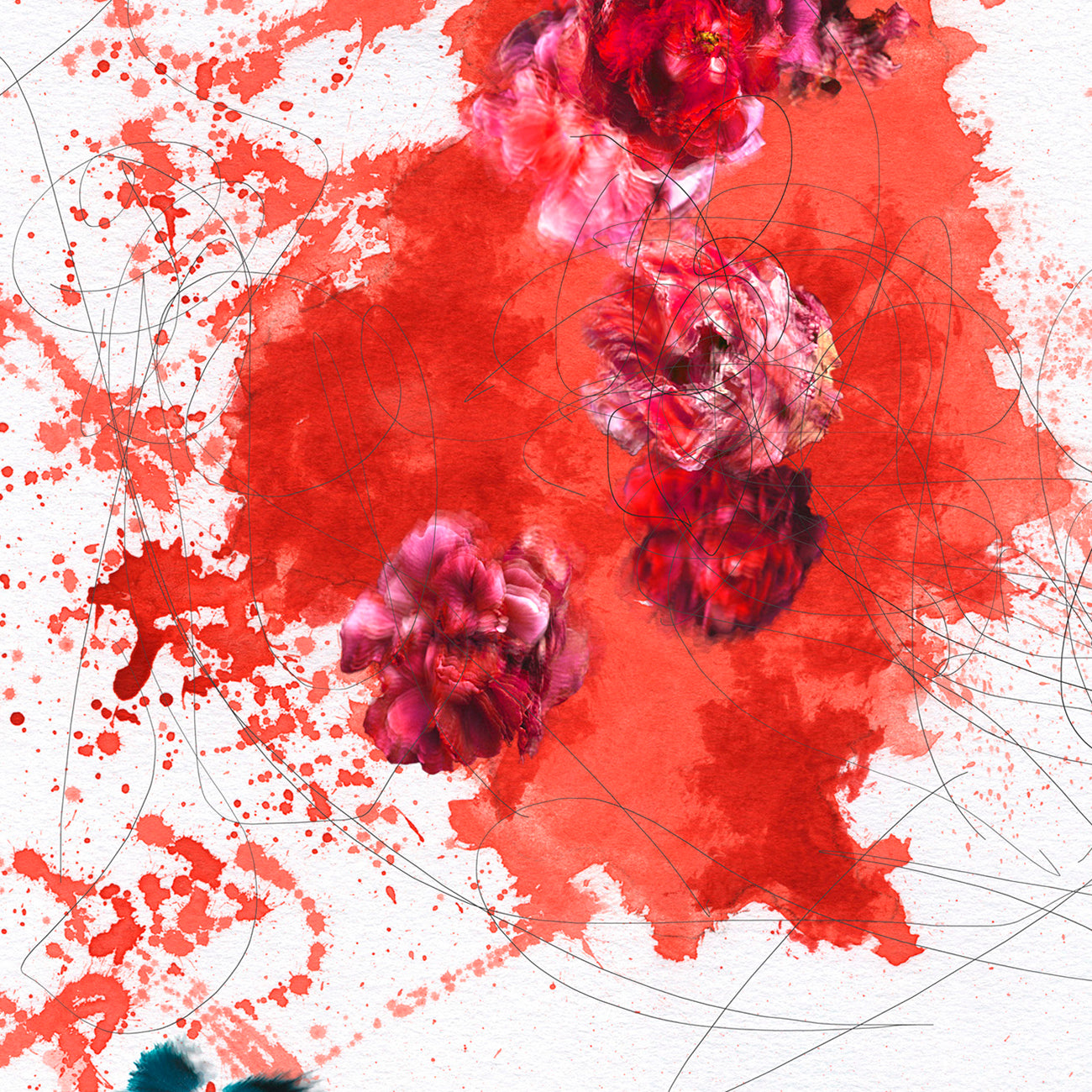 A painting of red flowers on a white background.