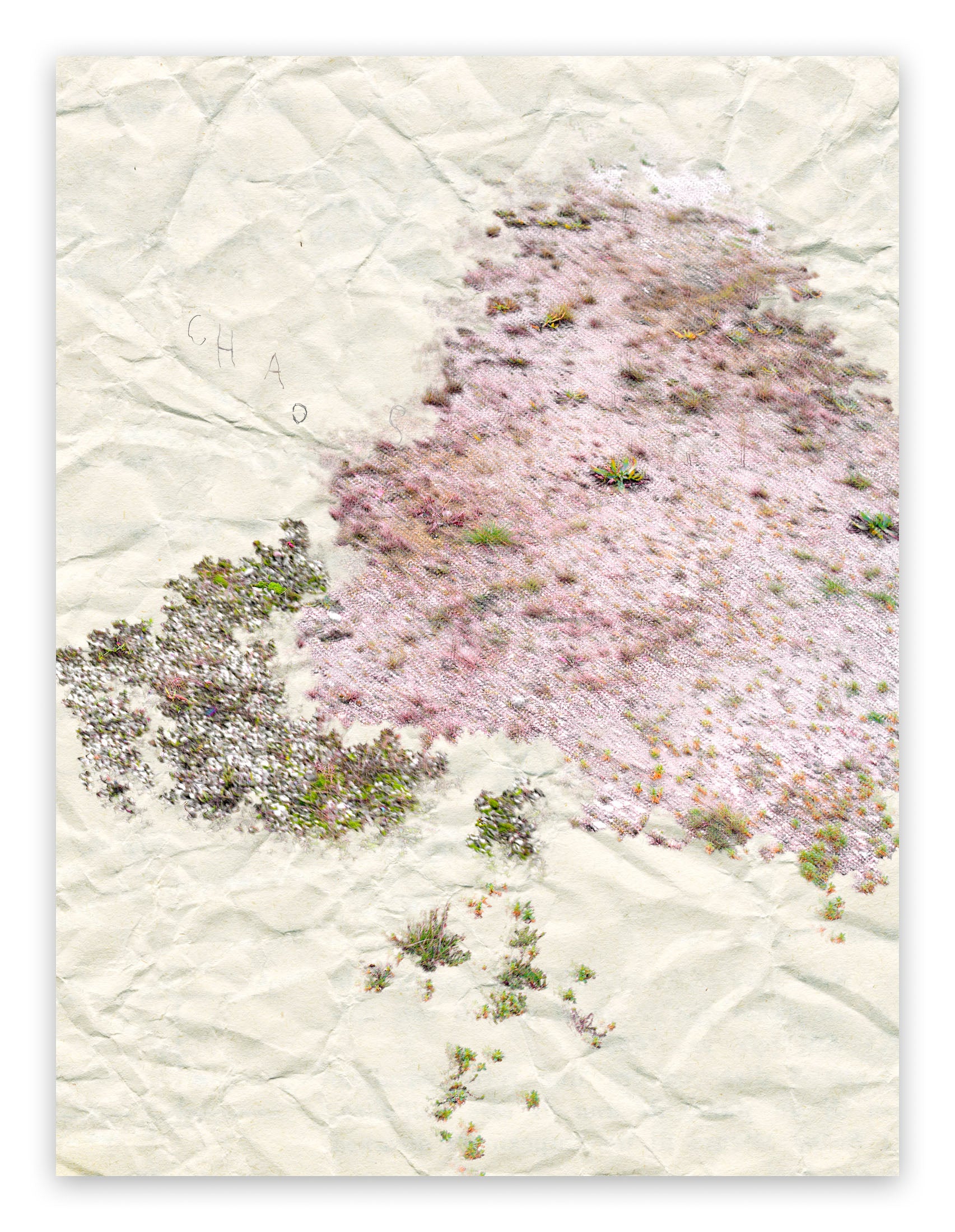 Artwork by Gianfranco Pezzot