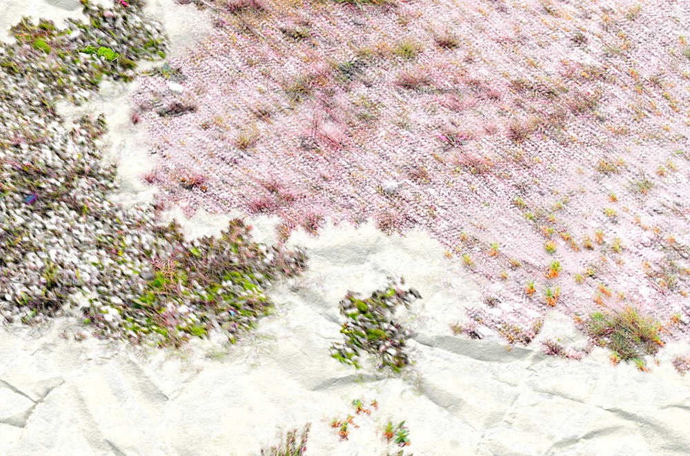 I. Anthropological Purity